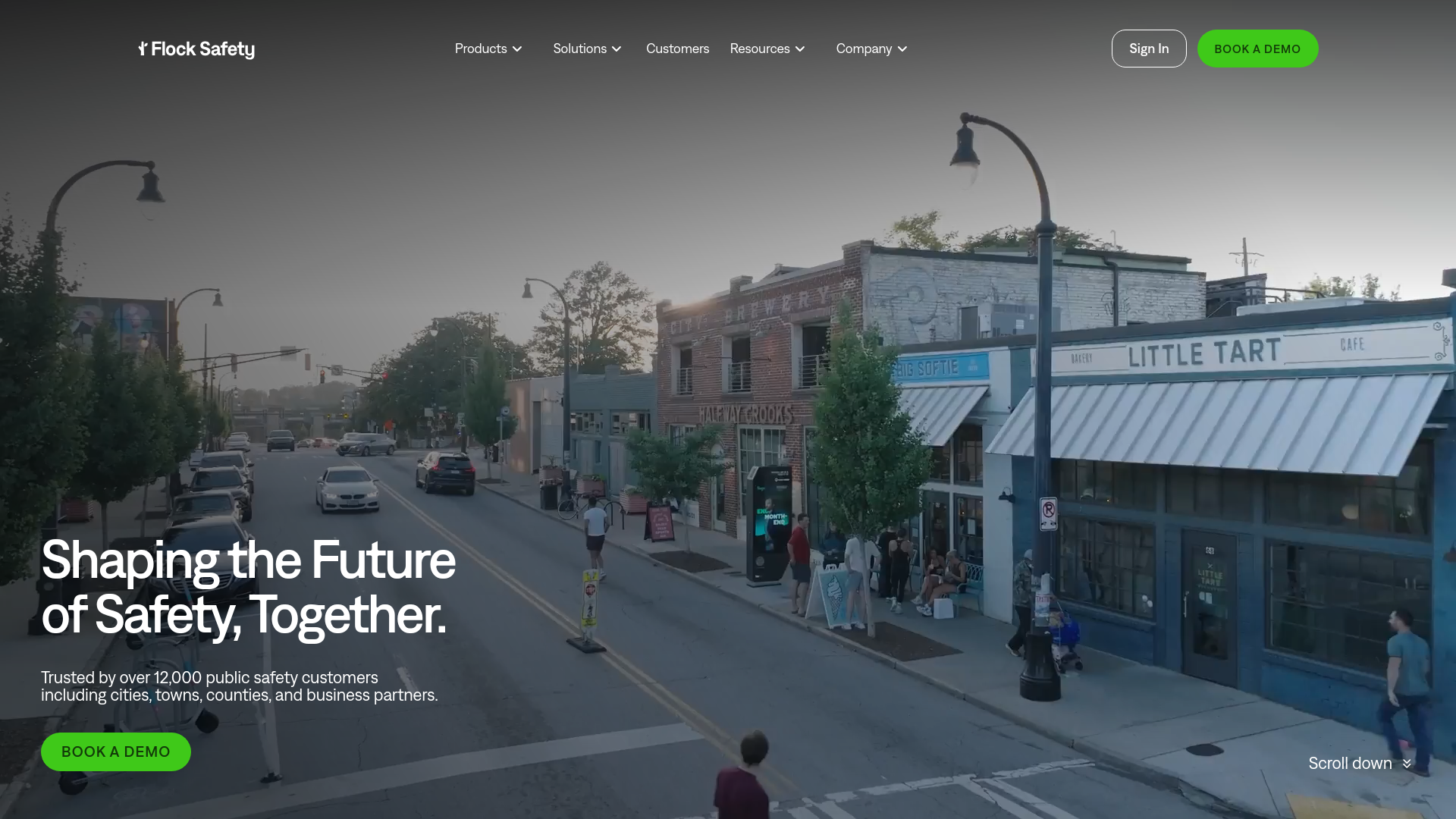 website screenshot of https://flocksafetyco.com/