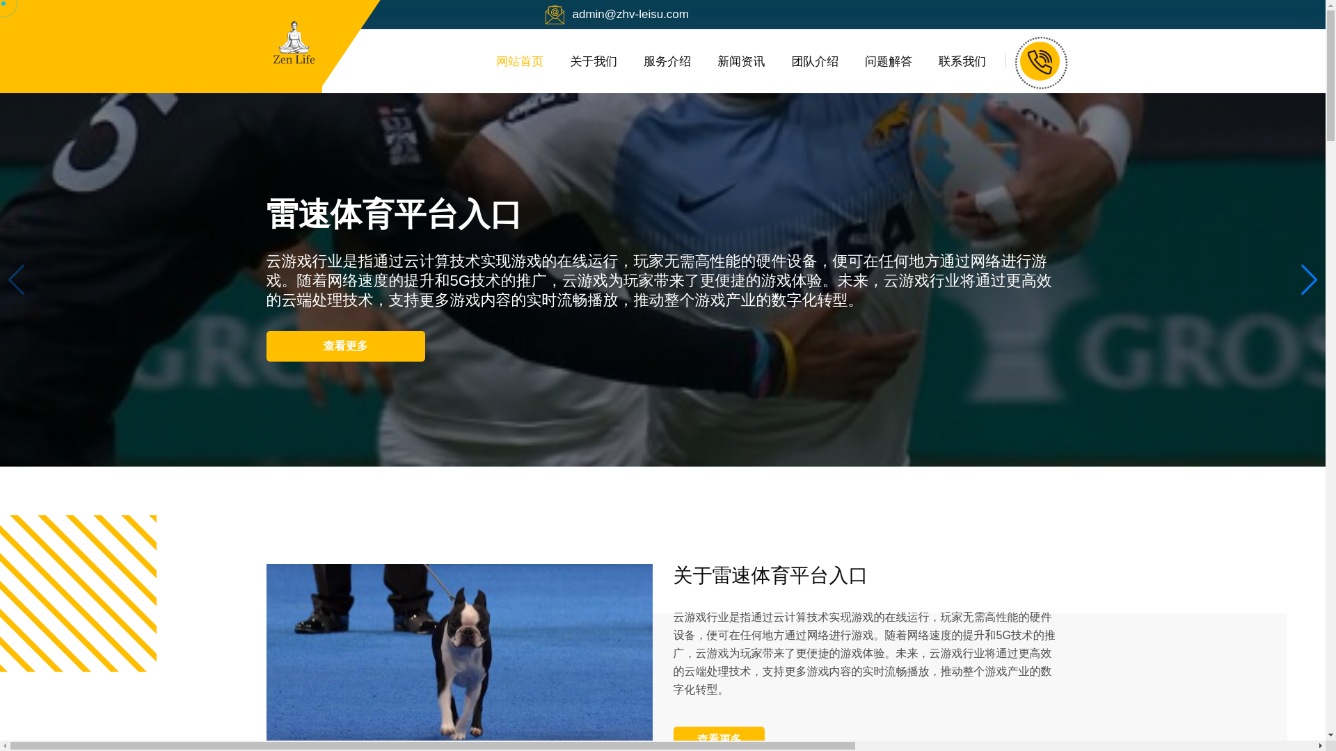 website screenshot of https://zhv-leisu.com/