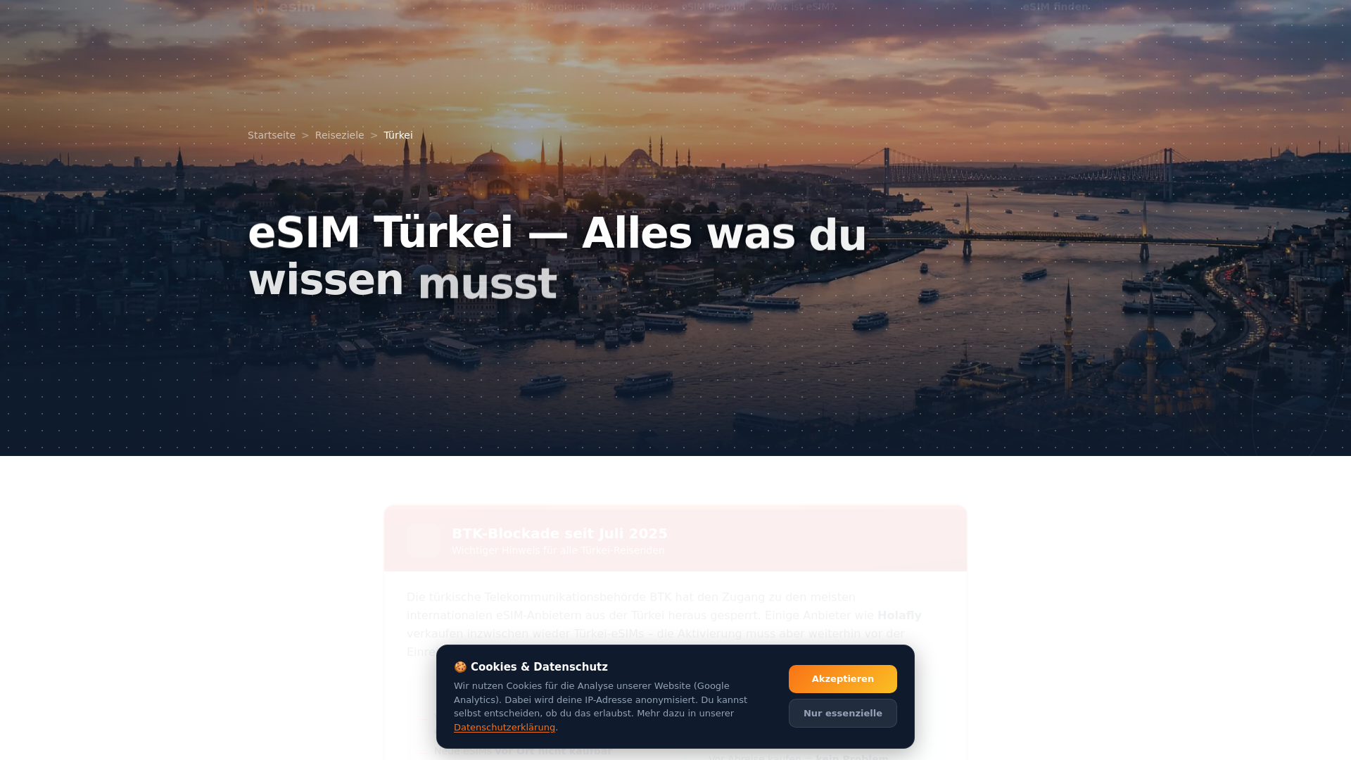 website screenshot of https://esimtuerkei.de/