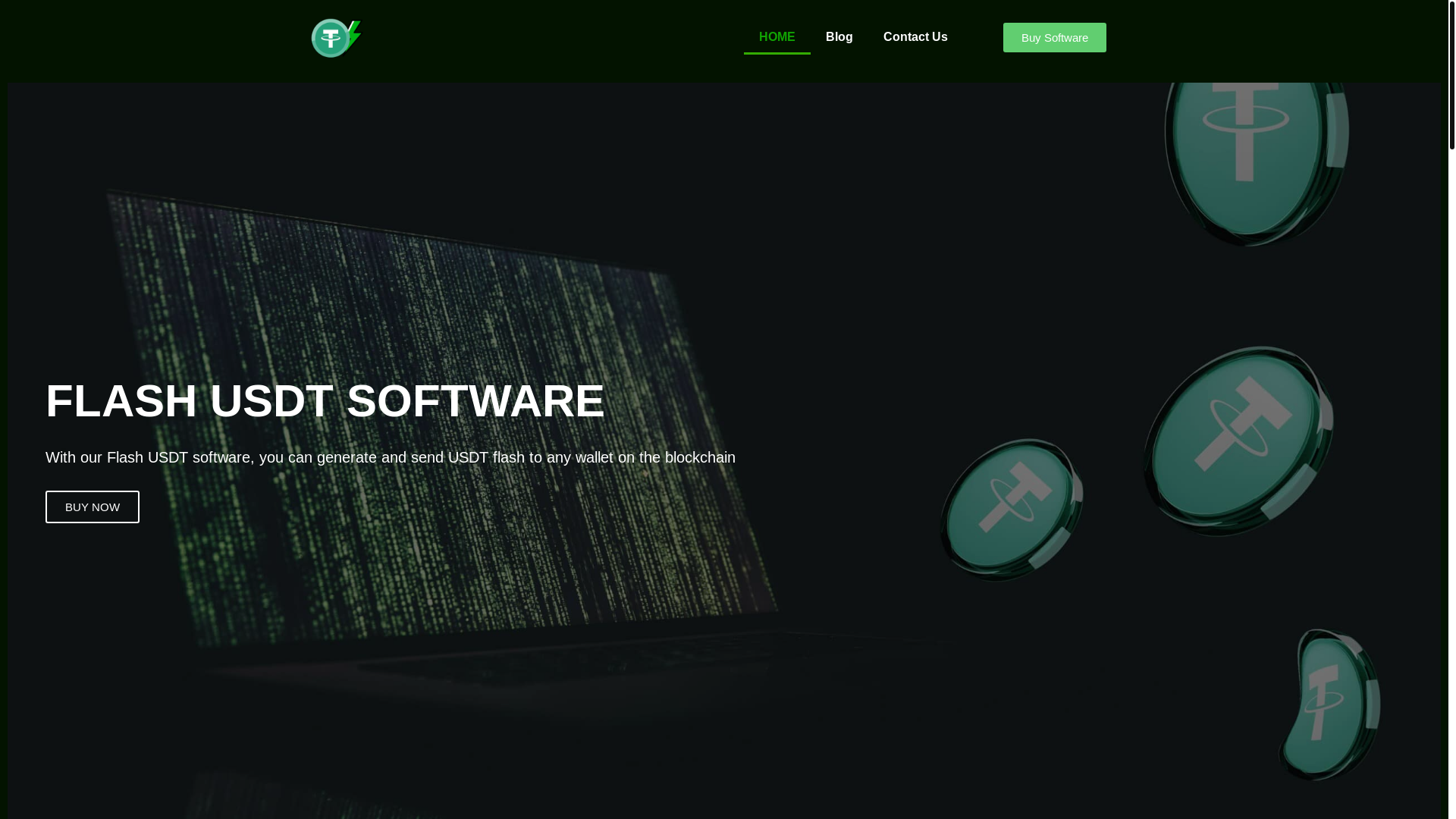 website screenshot of https://usdtflashersoftwares.com/