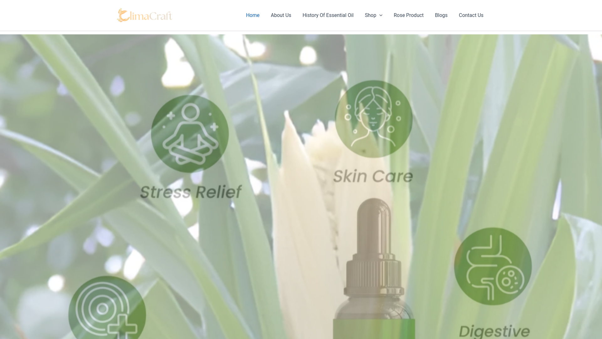website screenshot of https://buyessentialoils.in