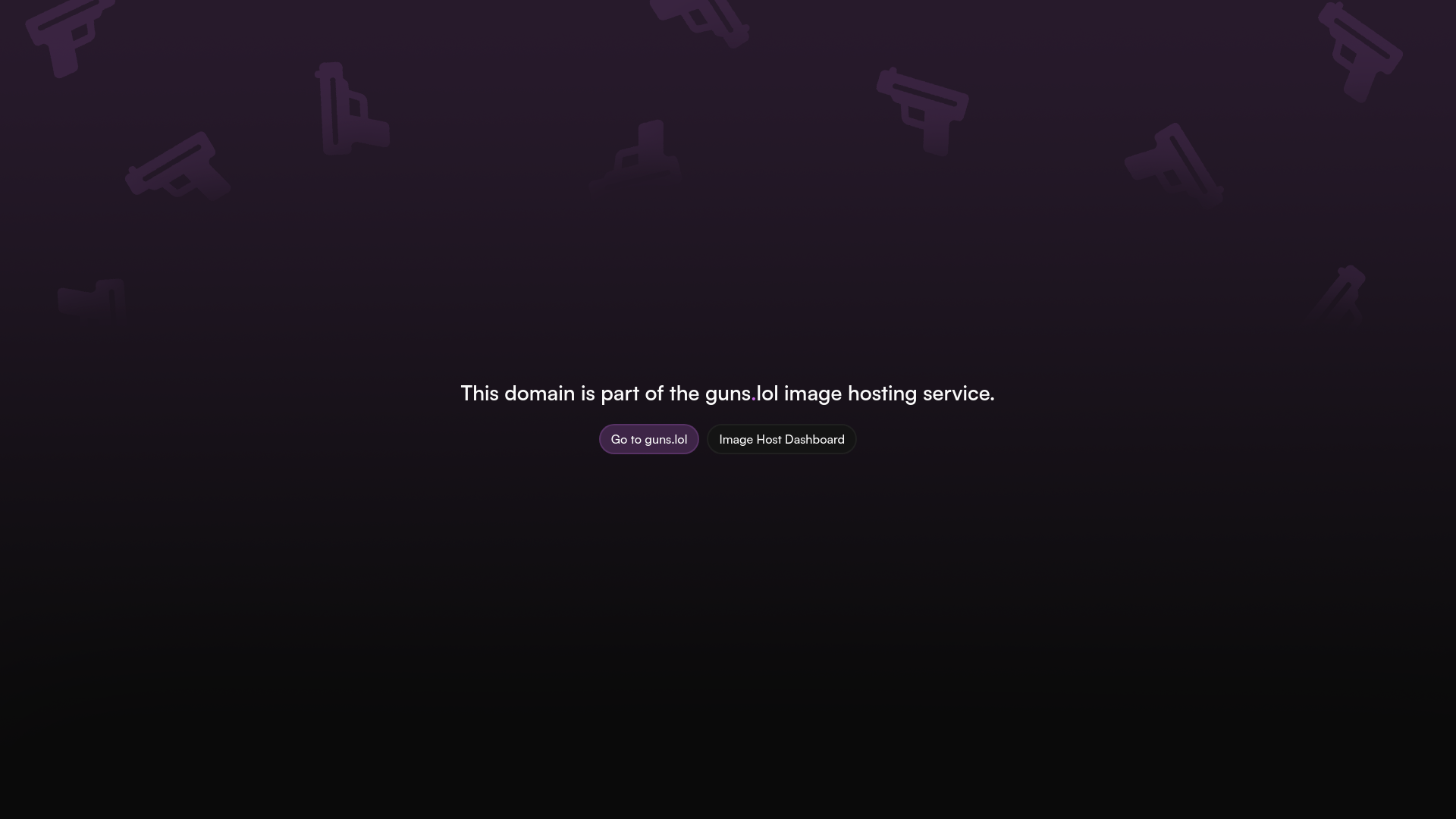 website screenshot of https://h4xstore.xyz