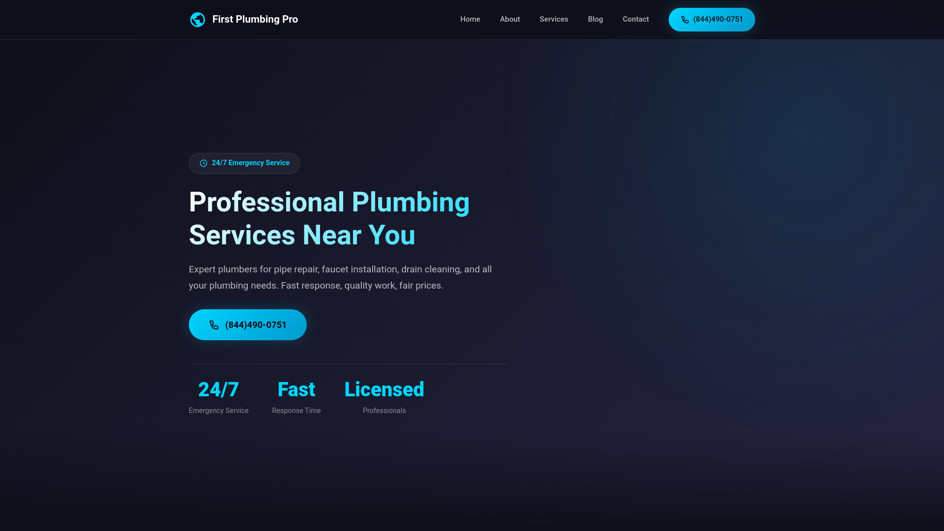 website screenshot of https://firstplumbingpro.info