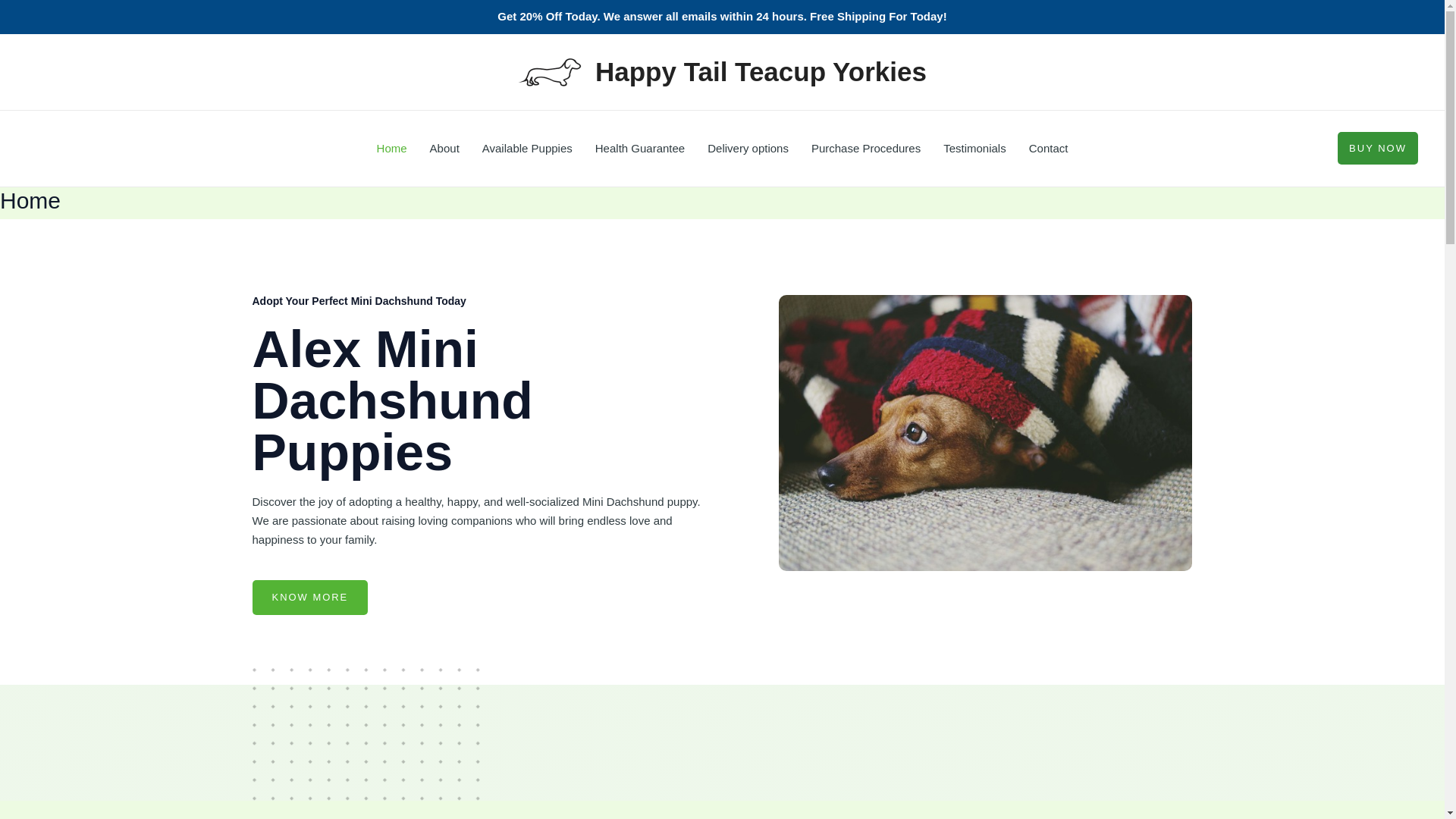 website screenshot of https://happytailteacupyorkies.com/