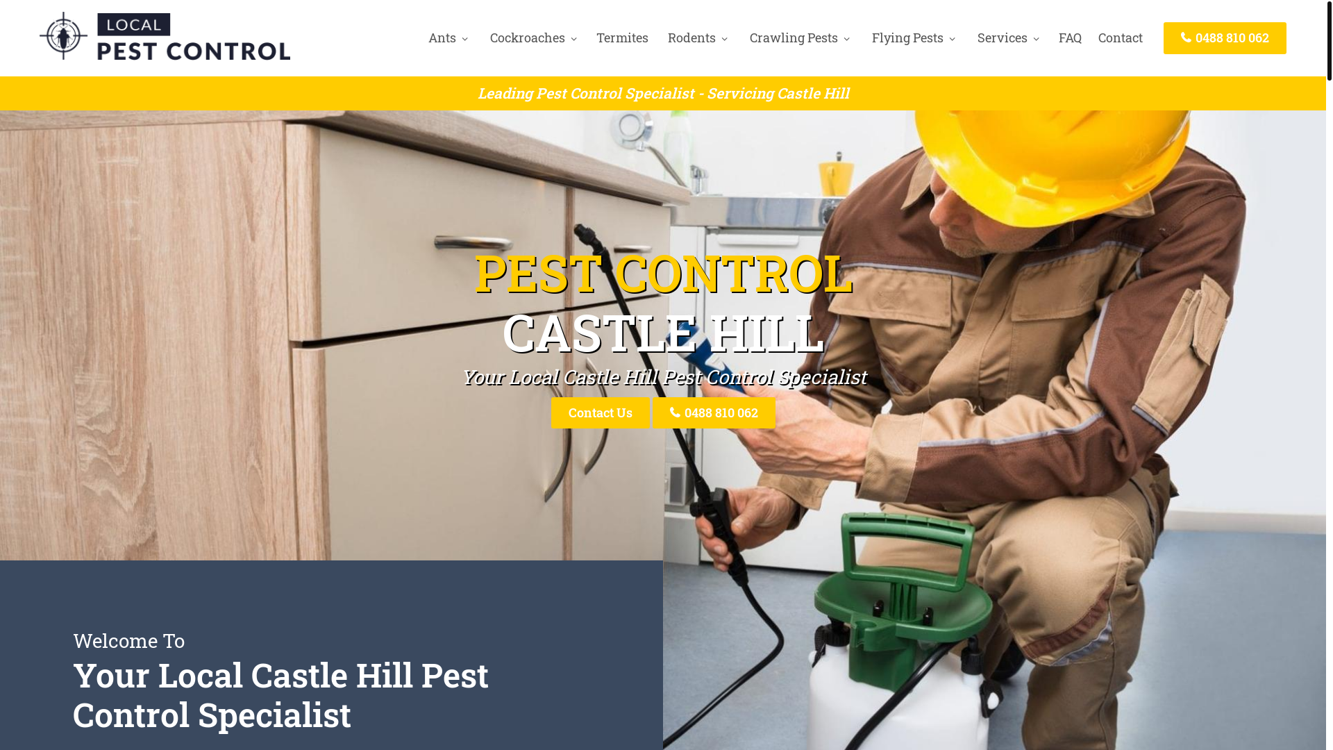 website screenshot of https://pestcontrolcastlehill-net-au.pages.dev/