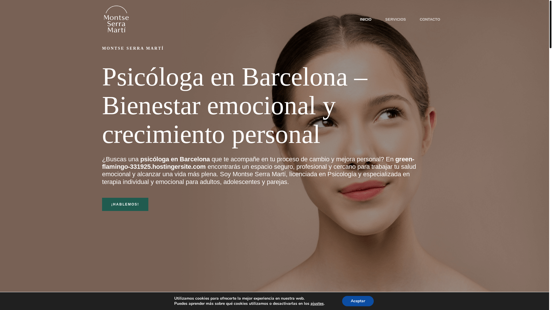 website screenshot of https://montseserramarti.es/