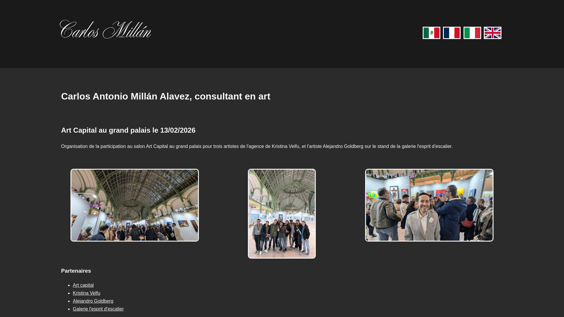 website screenshot of https://millanartconsultant.fr