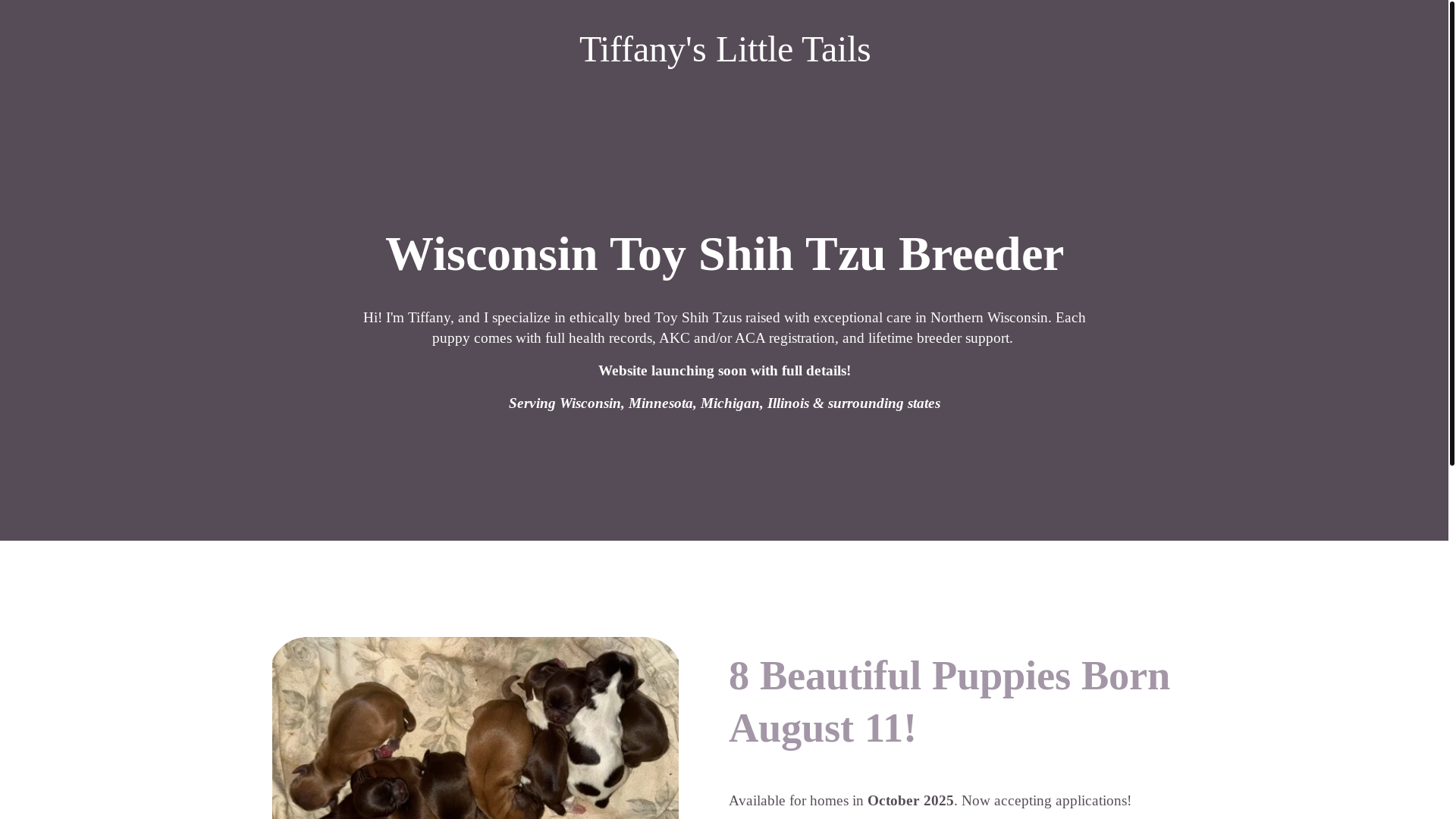 website screenshot of https://tiffanyslittletails.com/