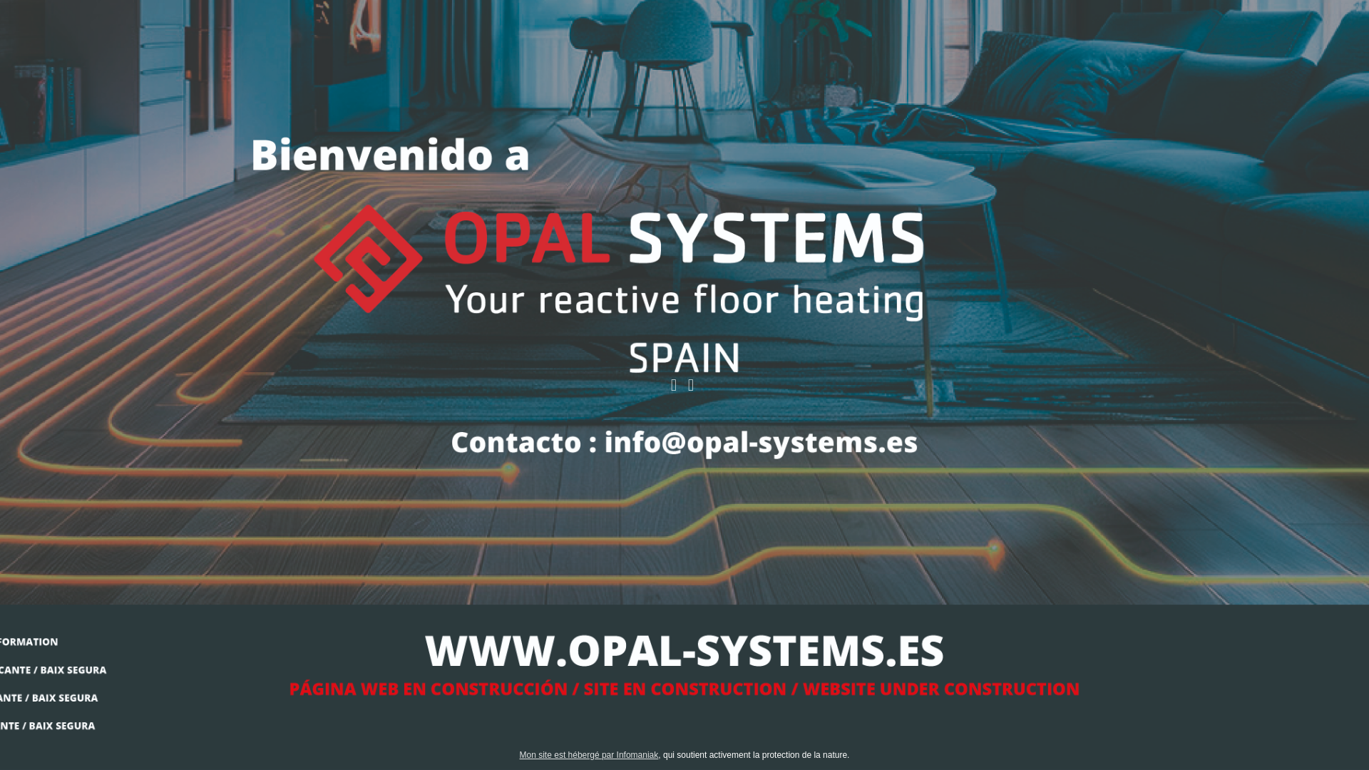 website screenshot of https://opal-systems.es