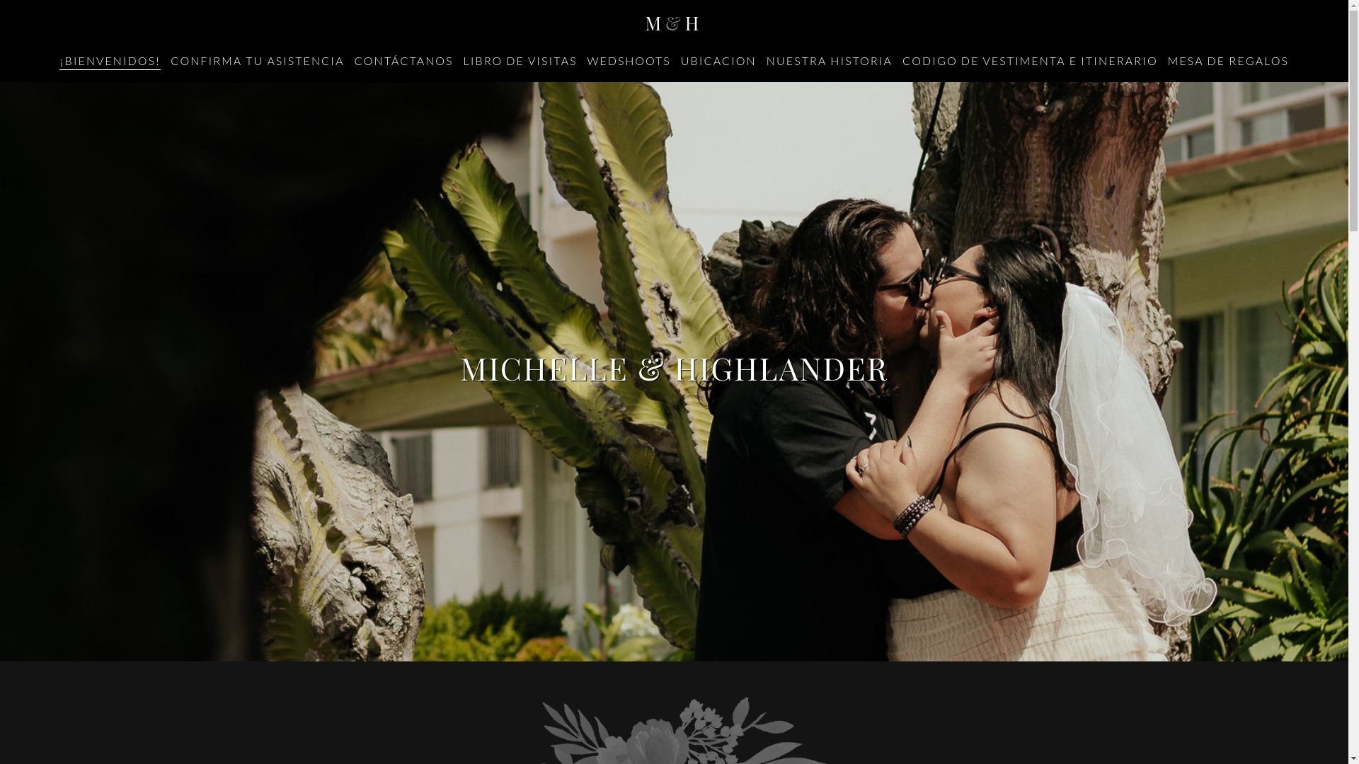 website screenshot of https://michelleyhighlander.com/