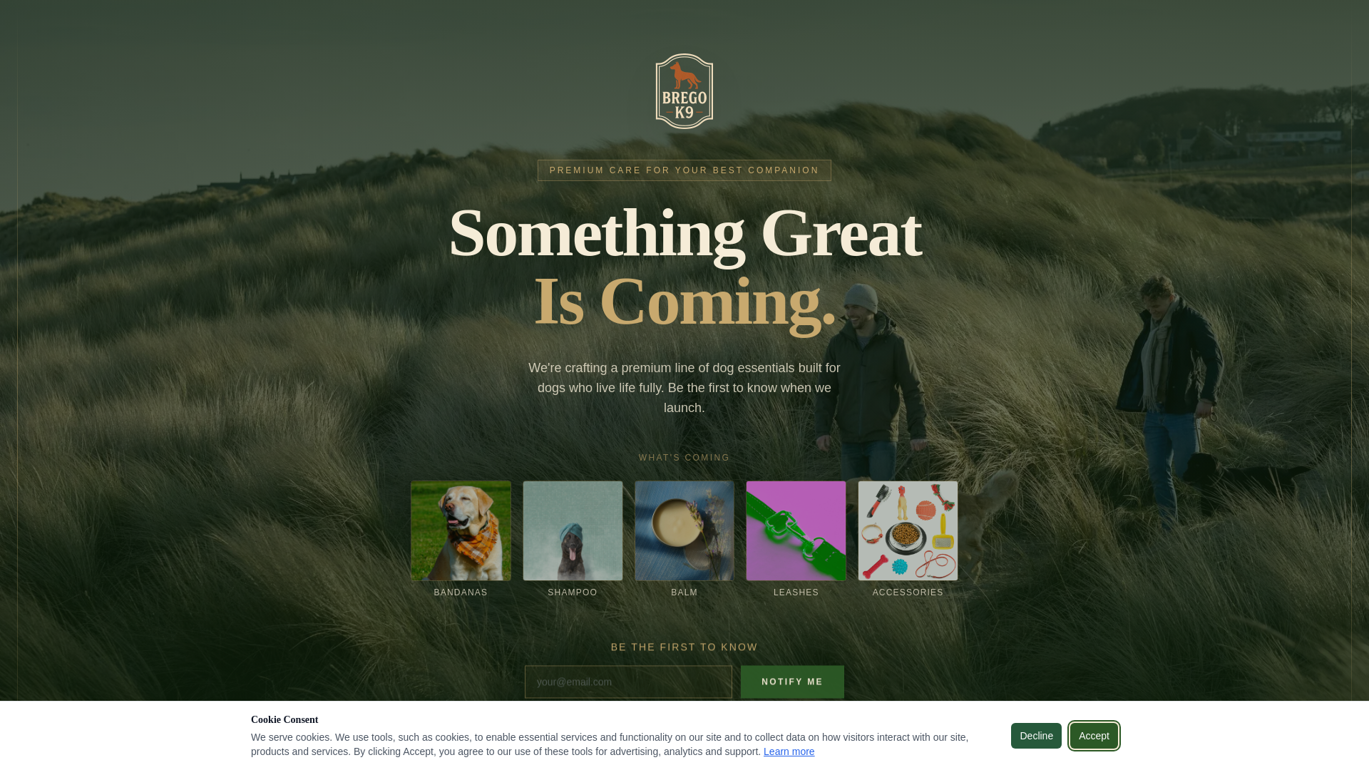 website screenshot of https://bregok9.pl/