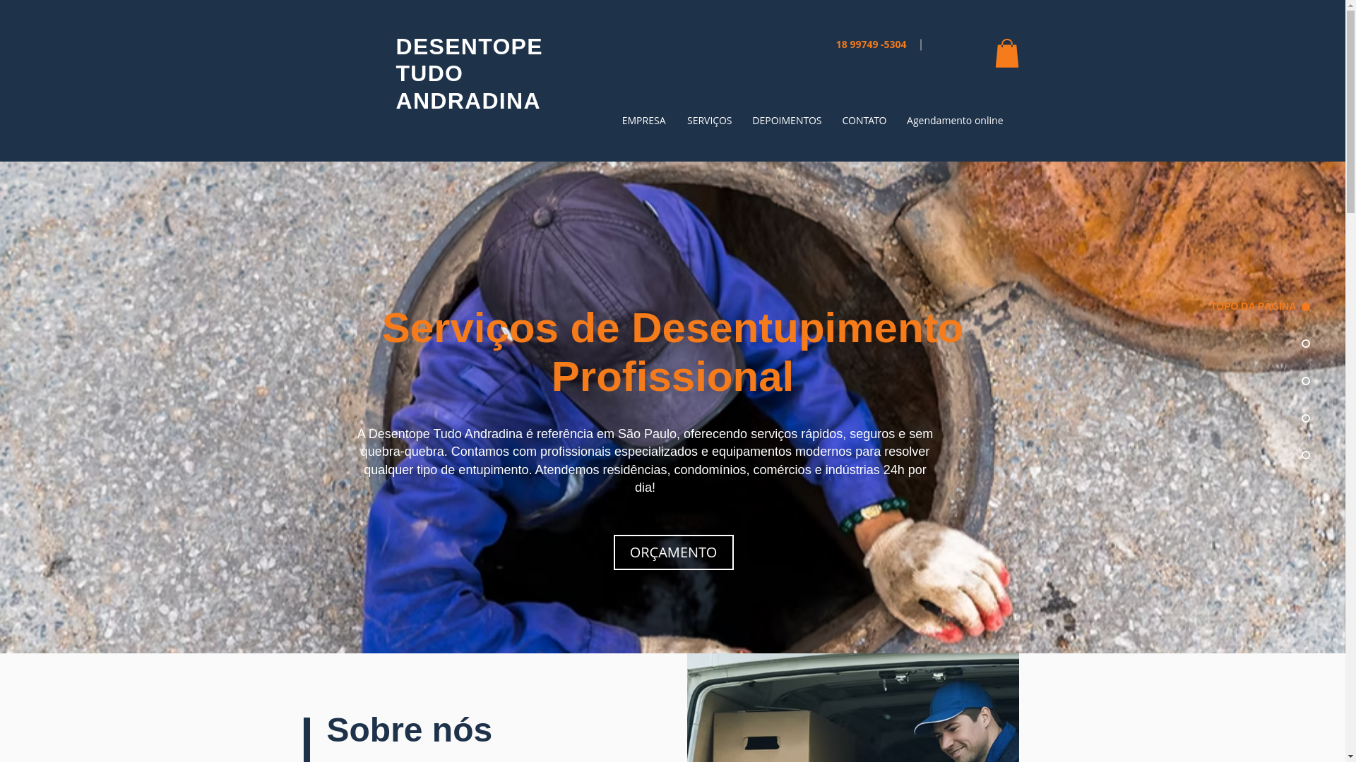 website screenshot of https://desentopetudoandradina.com.br/