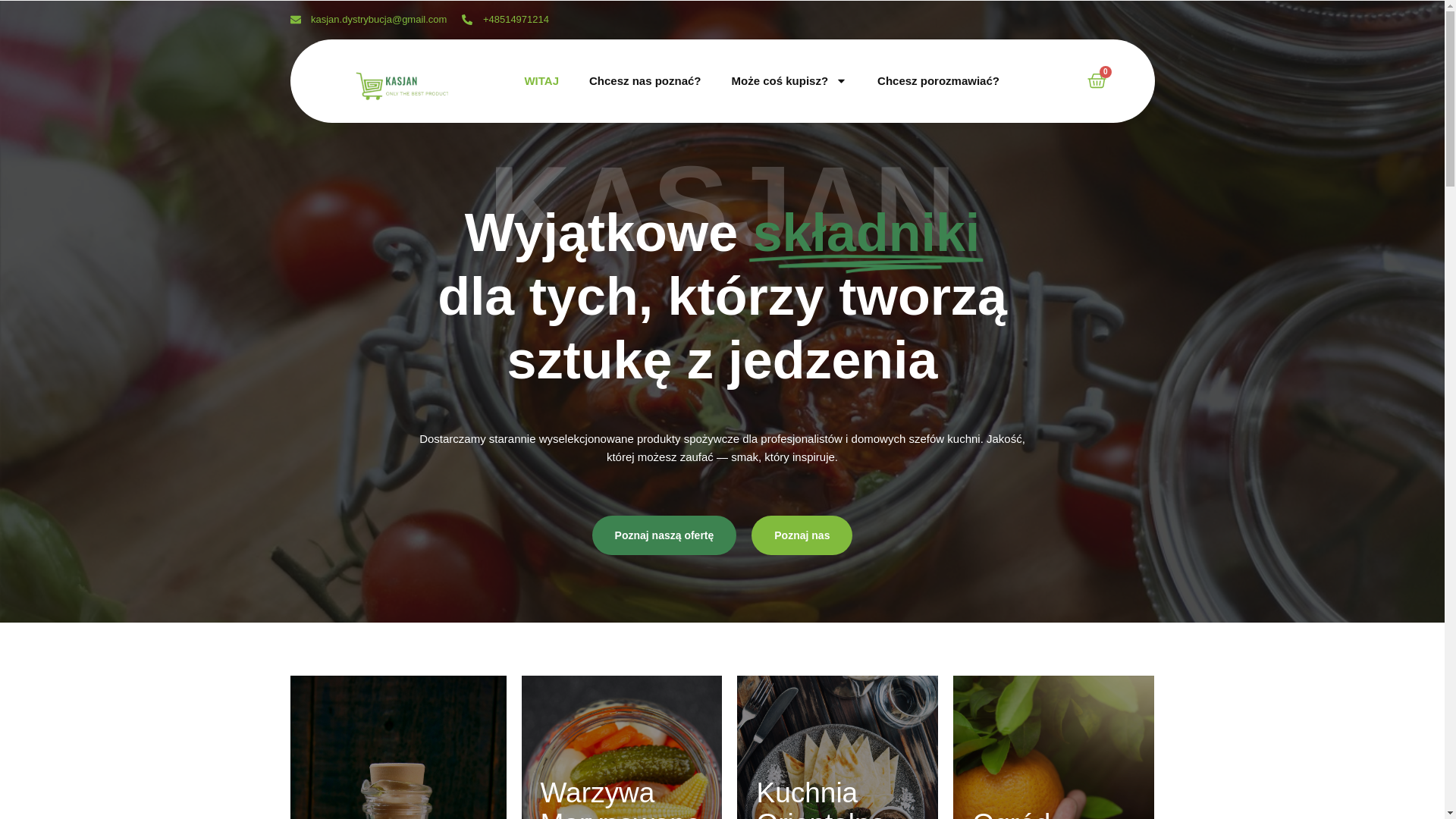 website screenshot of https://e-kasjan.pl/