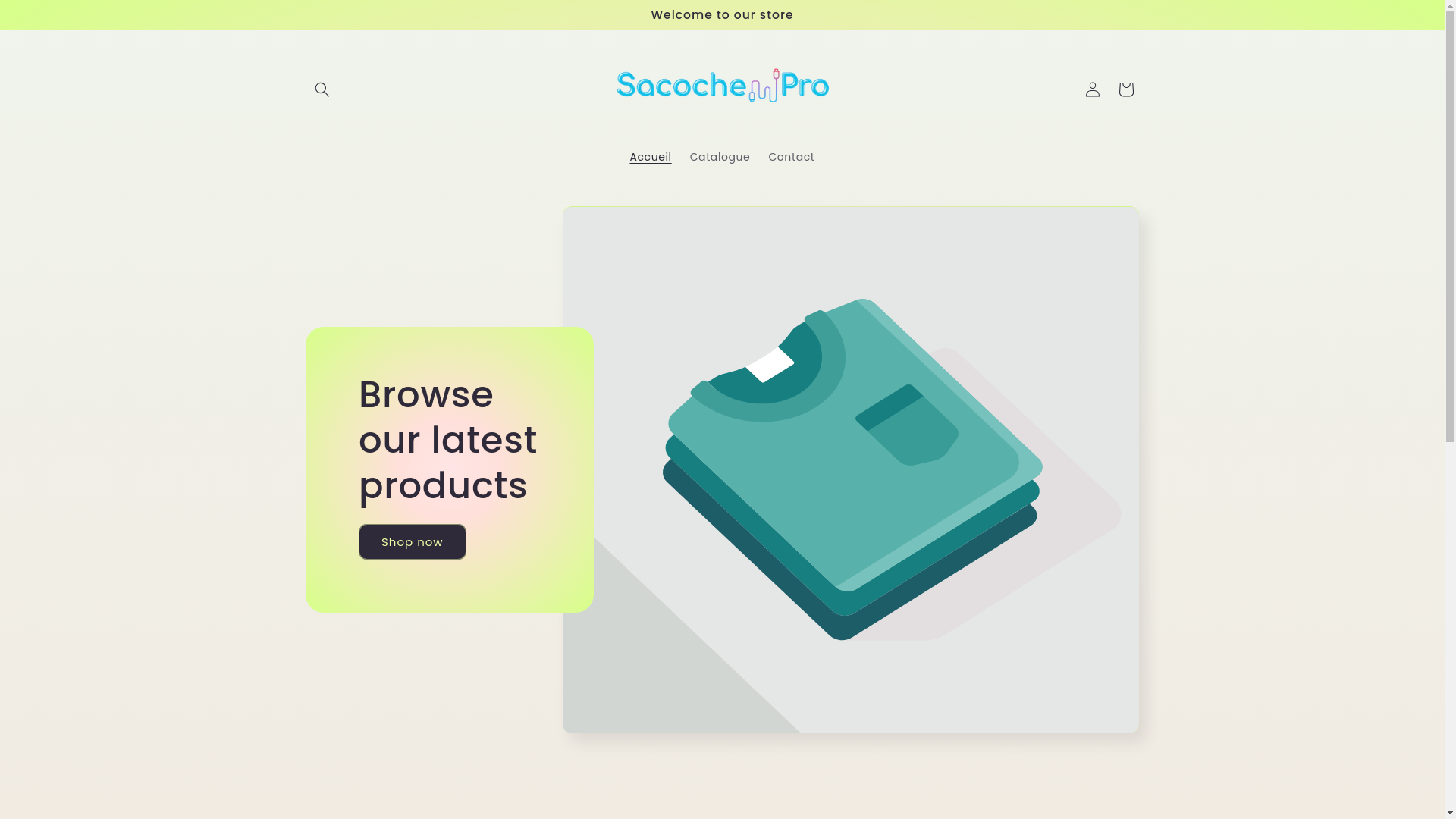 website screenshot of https://sacochepro.store/