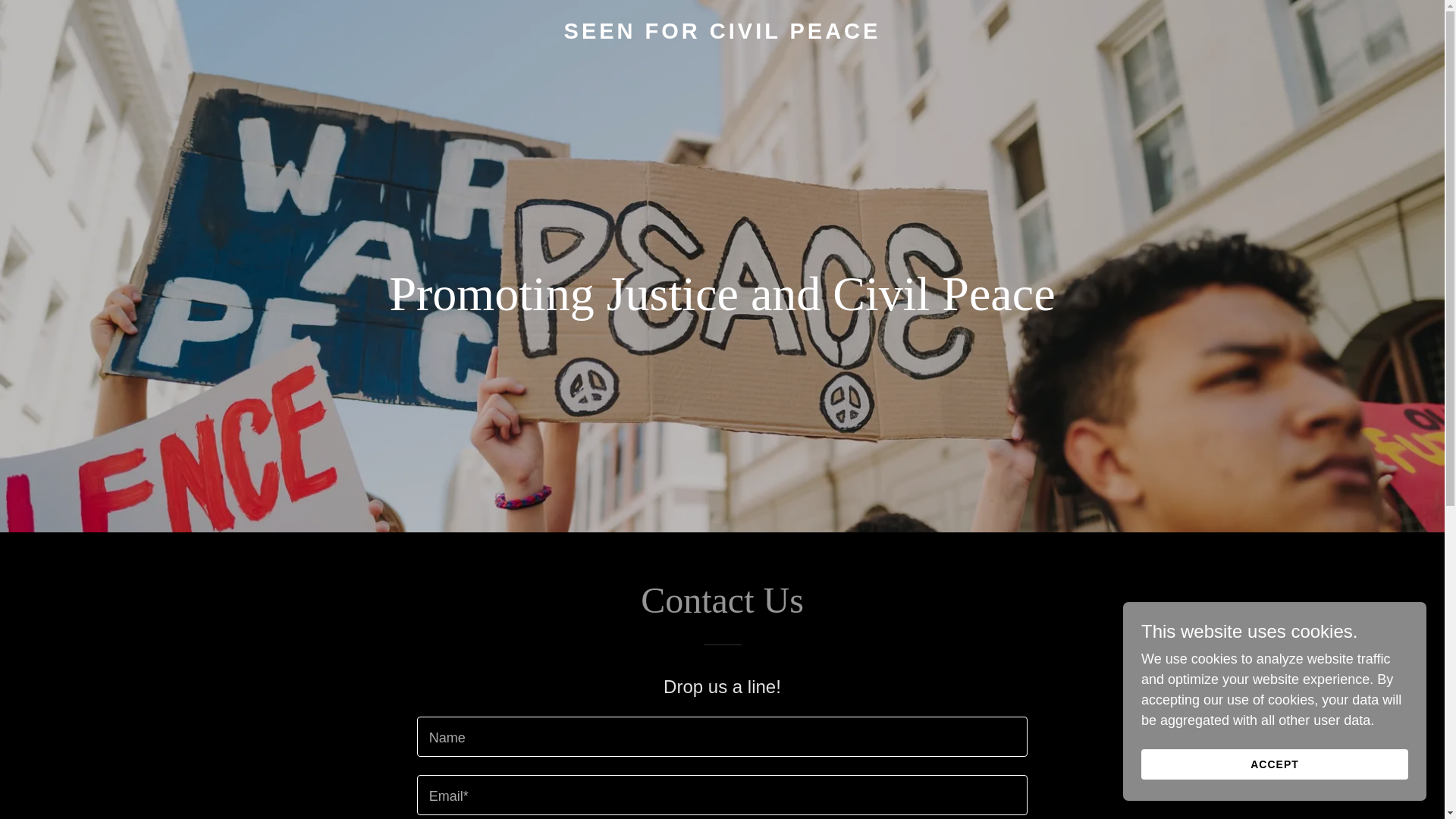 website screenshot of https://seenforcivilpeace.org/