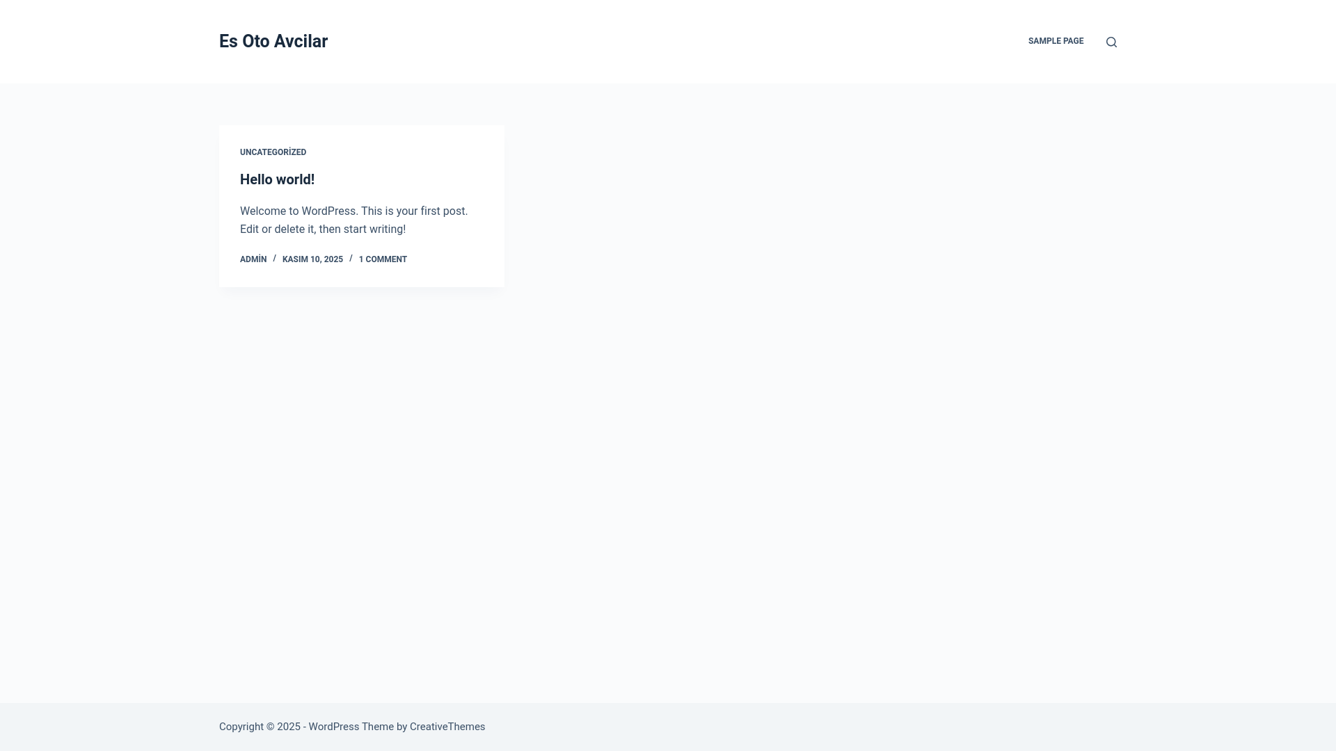 website screenshot of https://esotoavcilar.com/