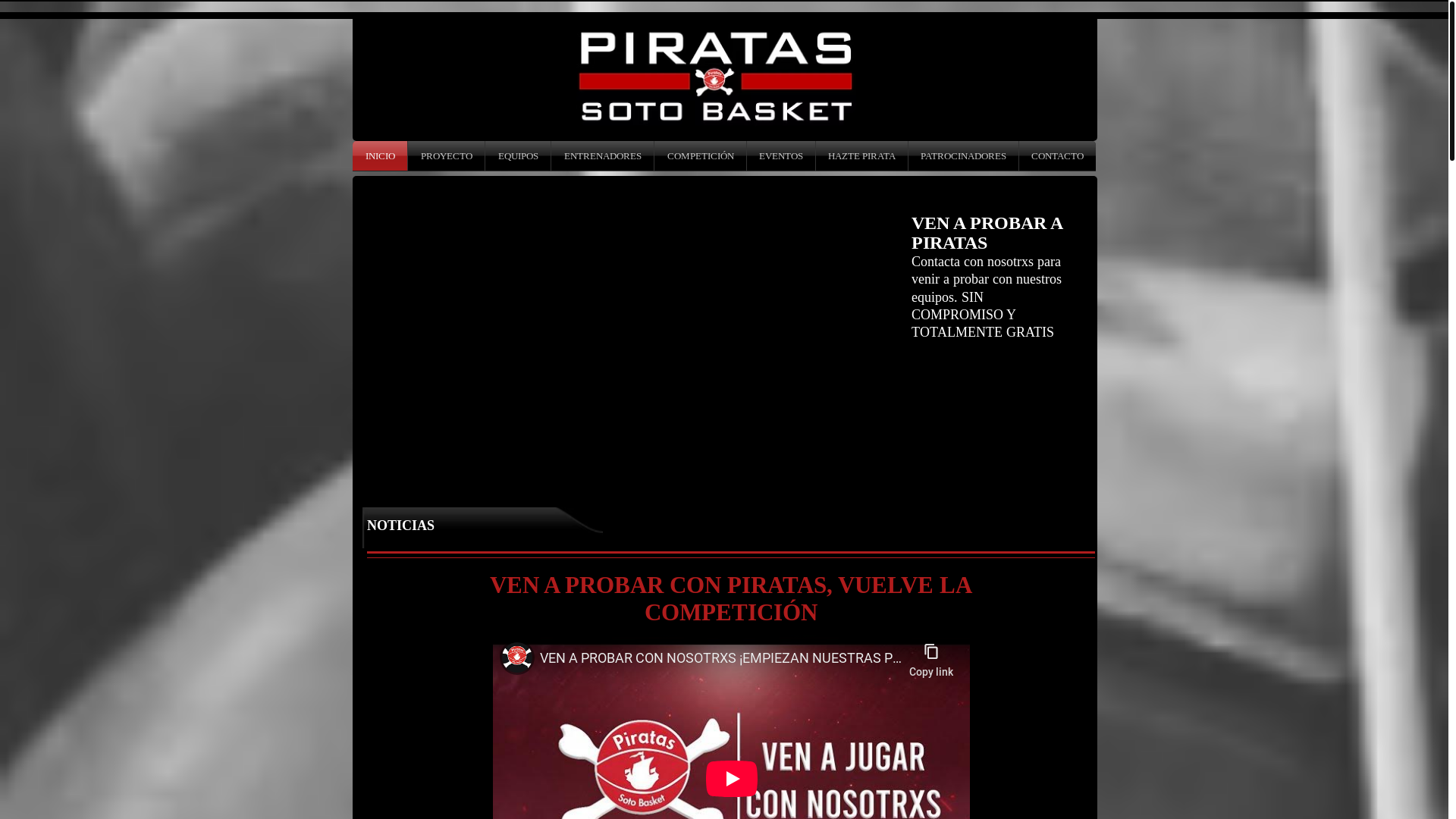 website screenshot of https://piratasotobasket.com/