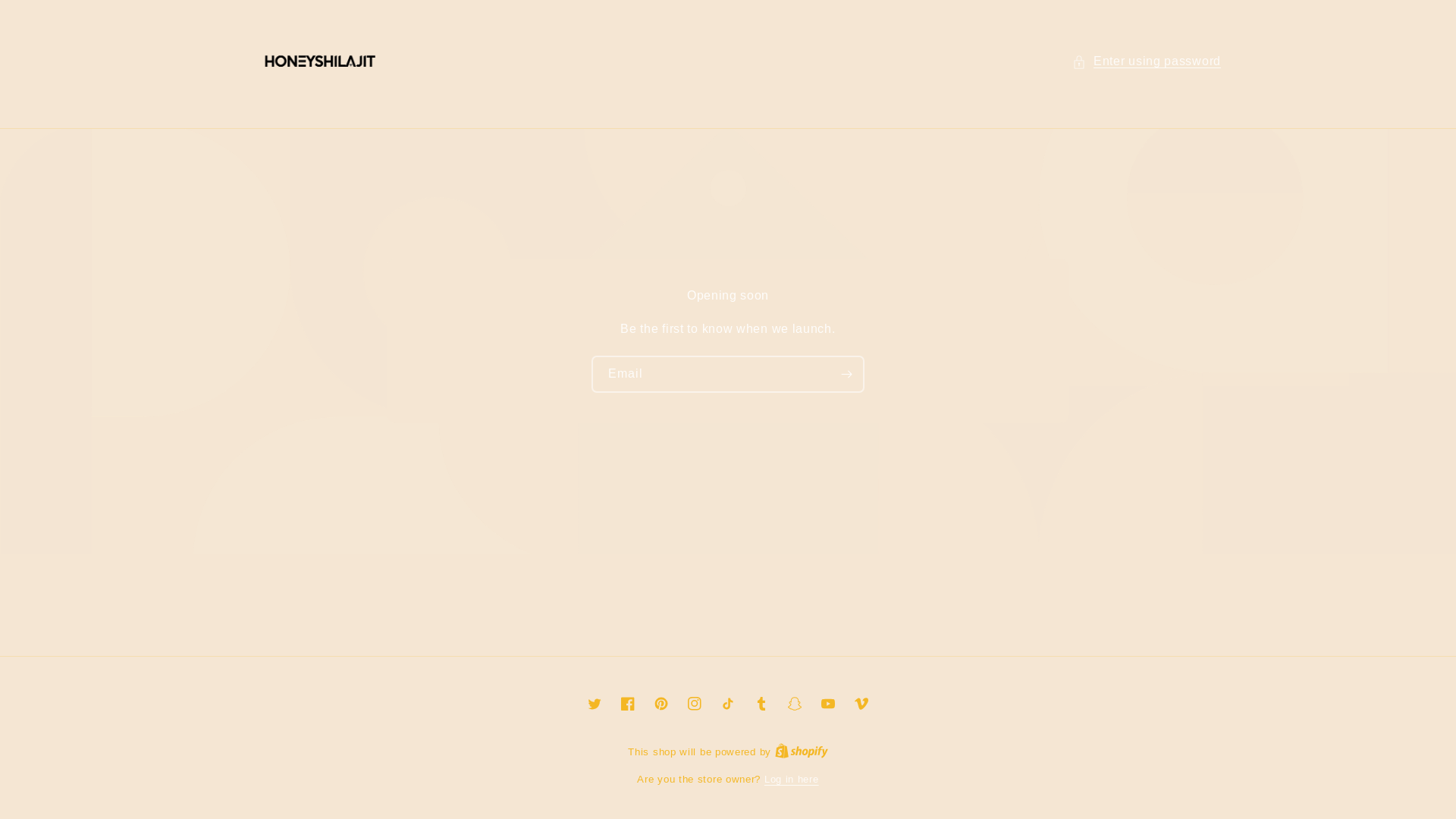 website screenshot of https://honeyshilajit.net/