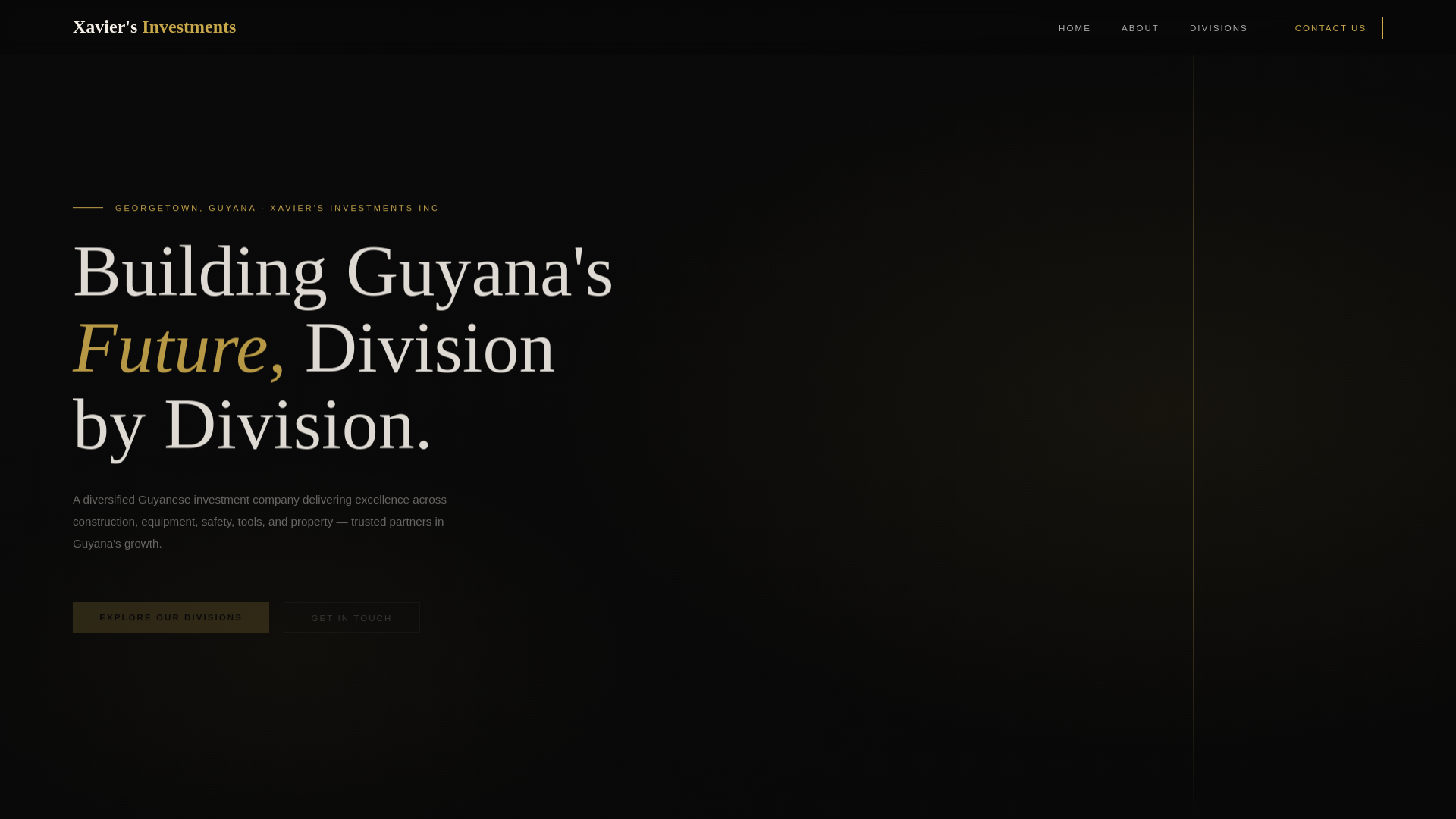 website screenshot of https://xaviersinvestmentsgy.com/