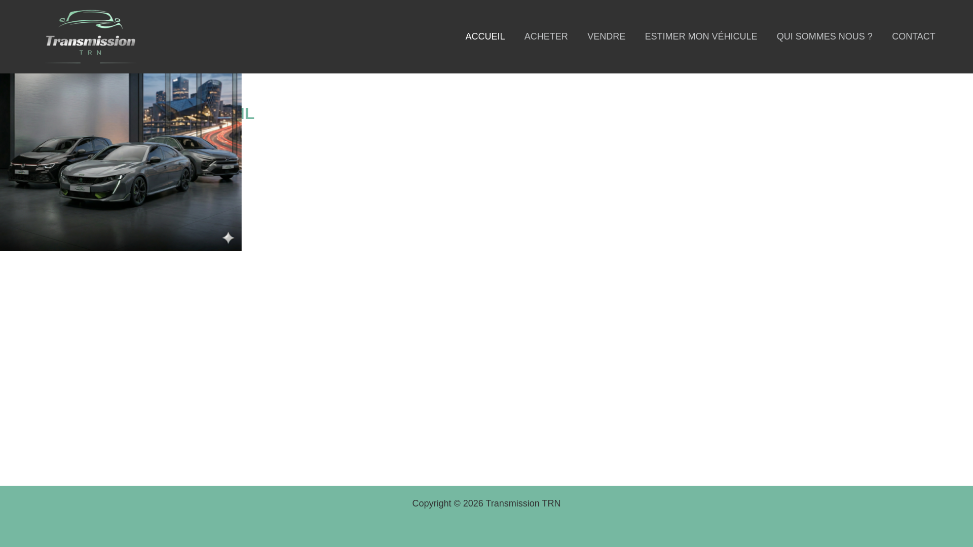 website screenshot of https://transmissiontrn.com/