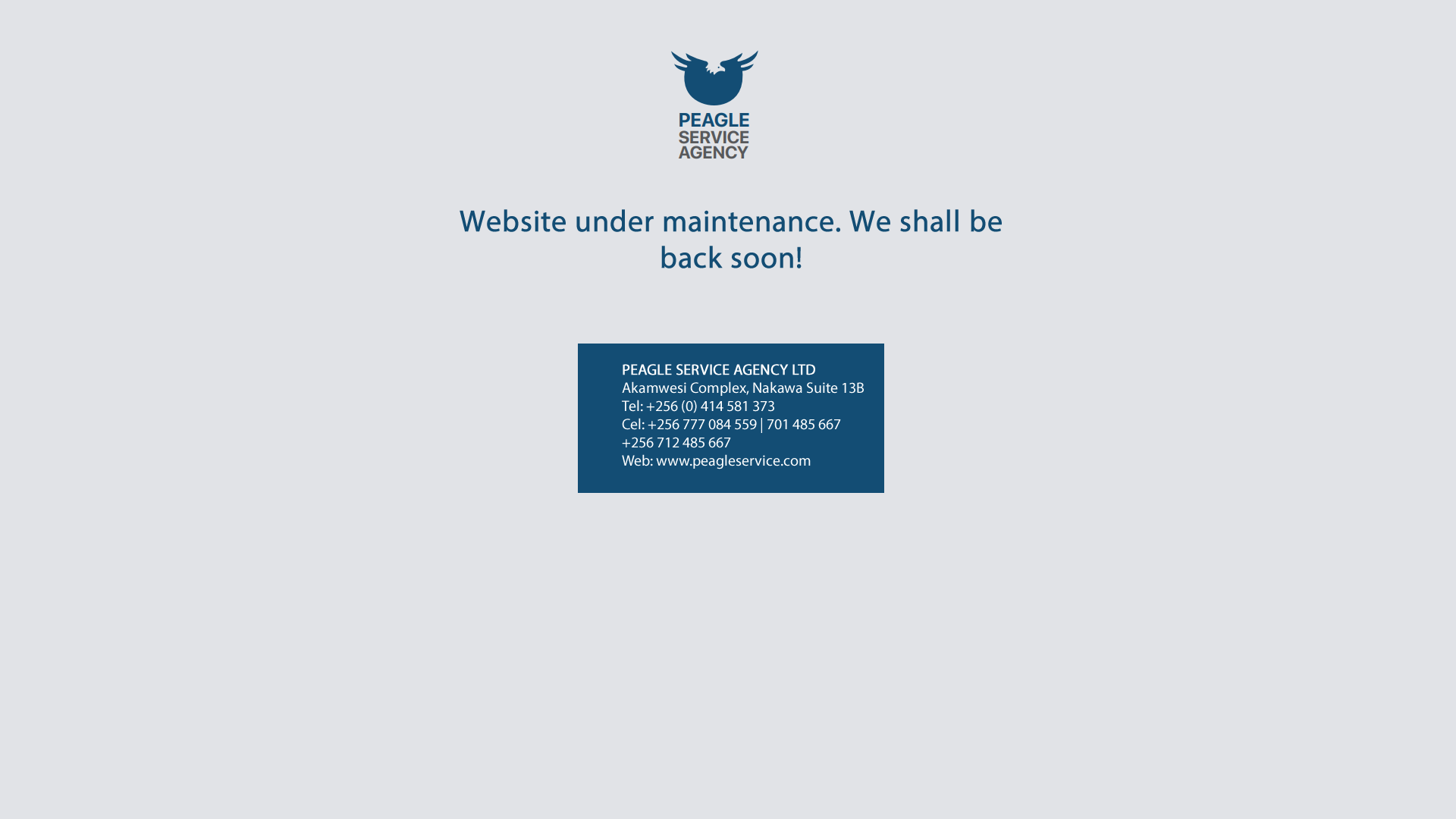 website screenshot of https://peagleserviceagency.com/