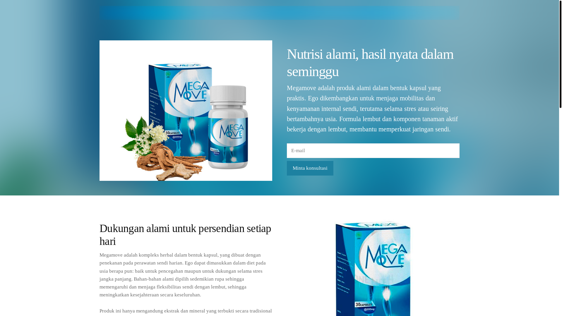 website screenshot of https://lelakiseimbangc.info/