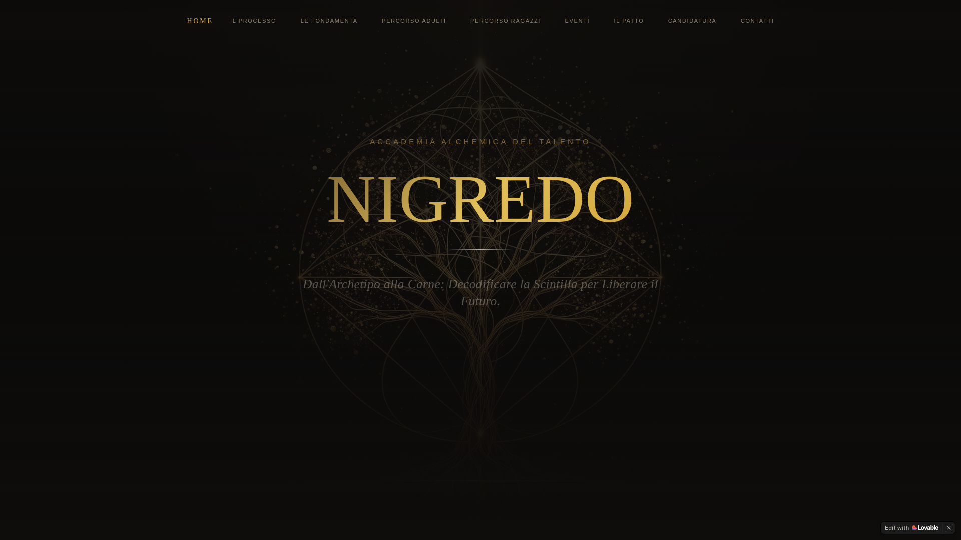 website screenshot of https://accademianigredo.com/