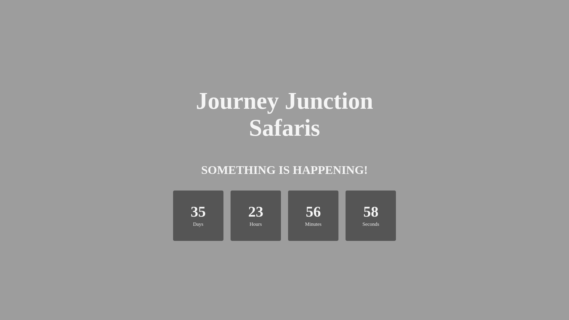 website screenshot of https://journeyjunctionsafaris.com/