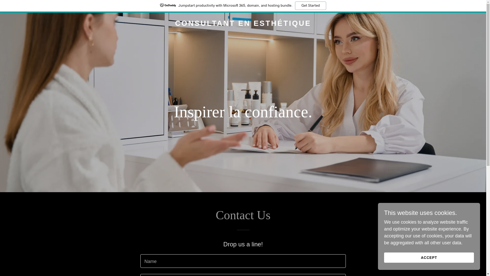 website screenshot of https://consultantenesthetique.ca/