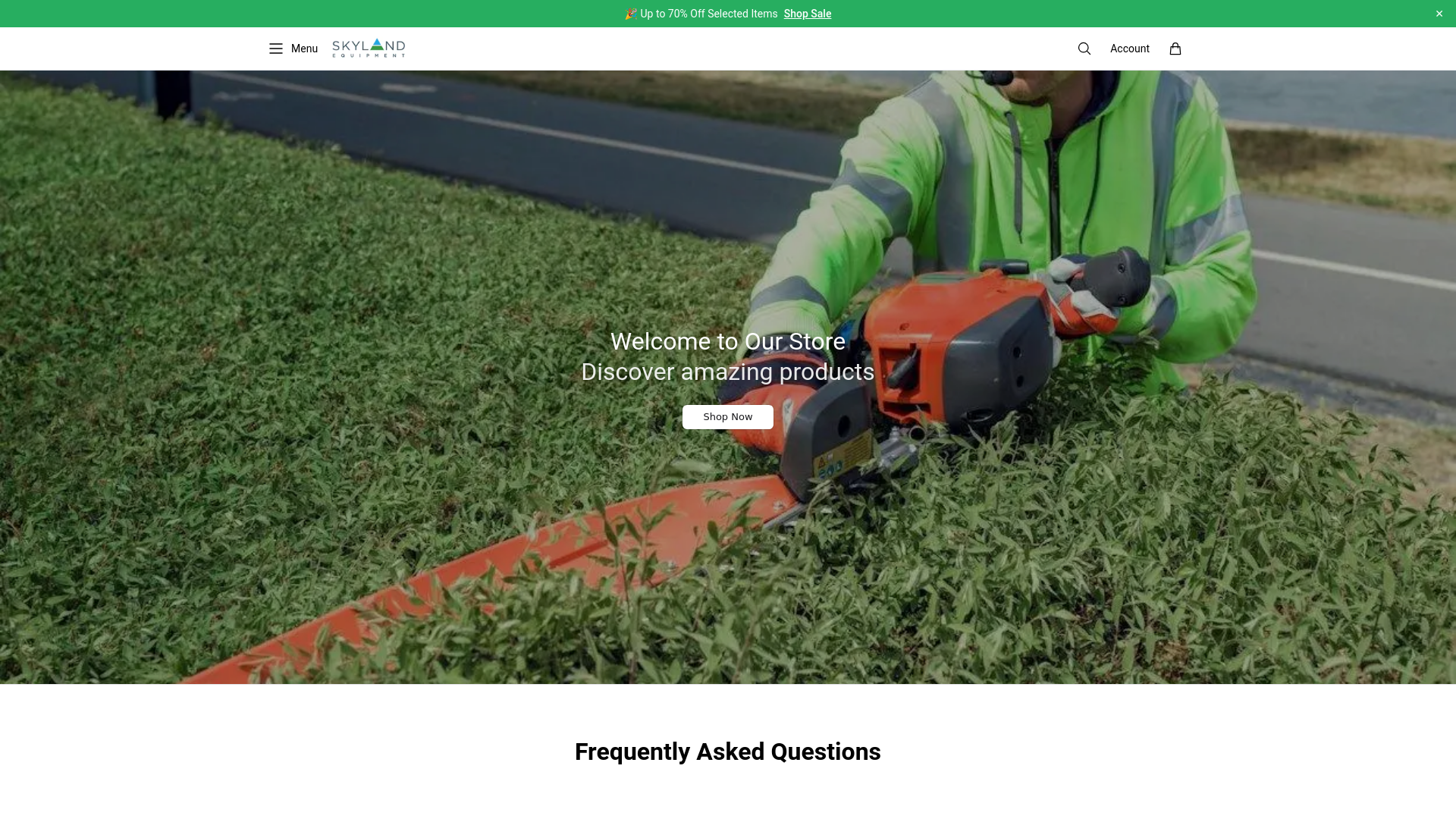 website screenshot of https://buyskylandequipment.shop/
