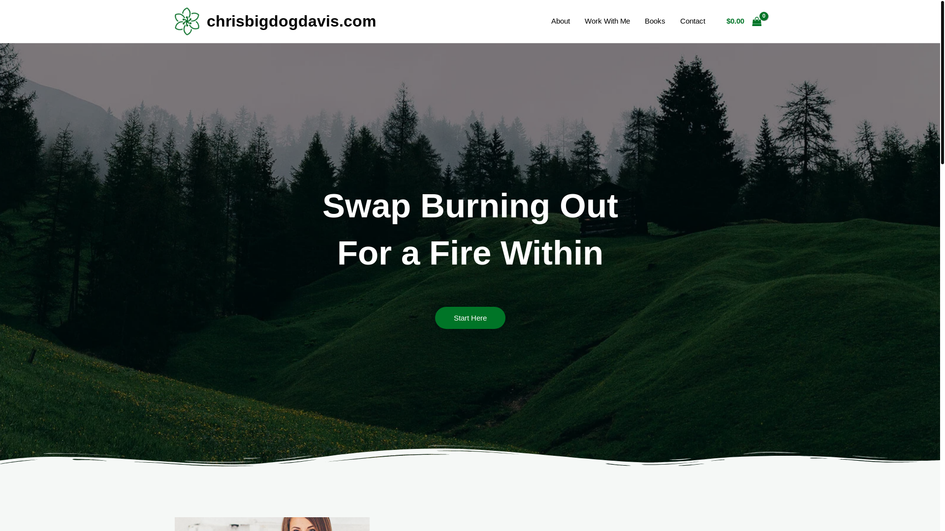 website screenshot of https://chrisbigdogdavis.com/