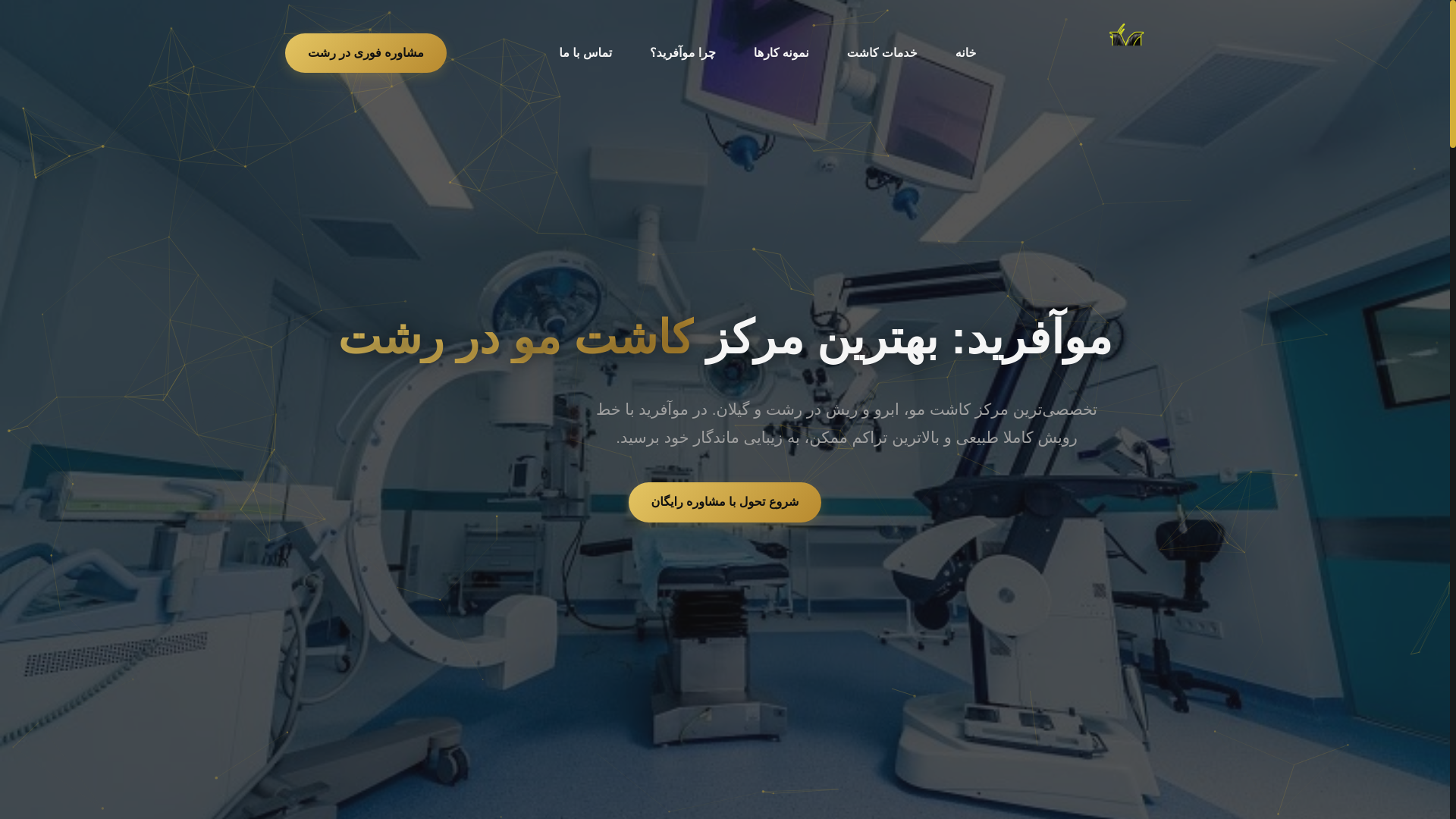 website screenshot of https://muafarid.ir/