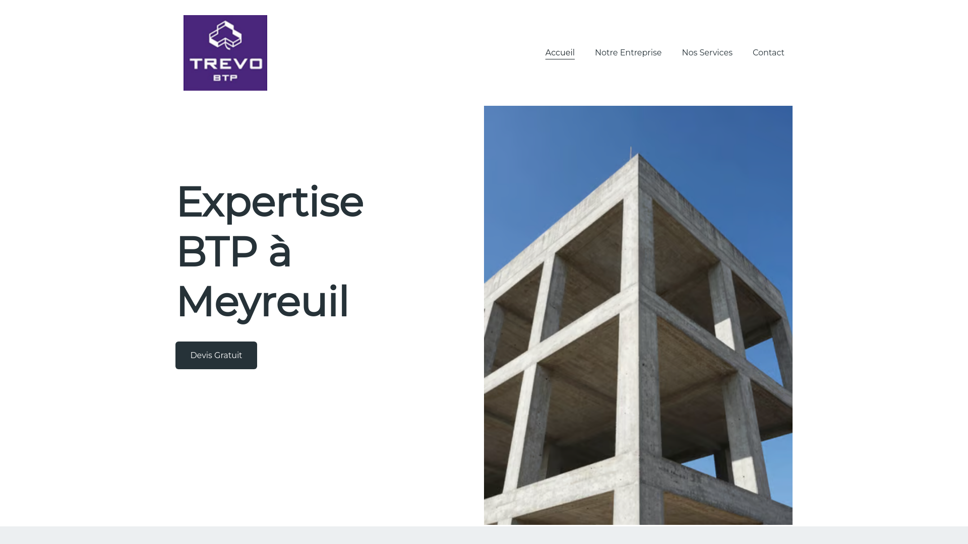 website screenshot of https://trevobtp.com/