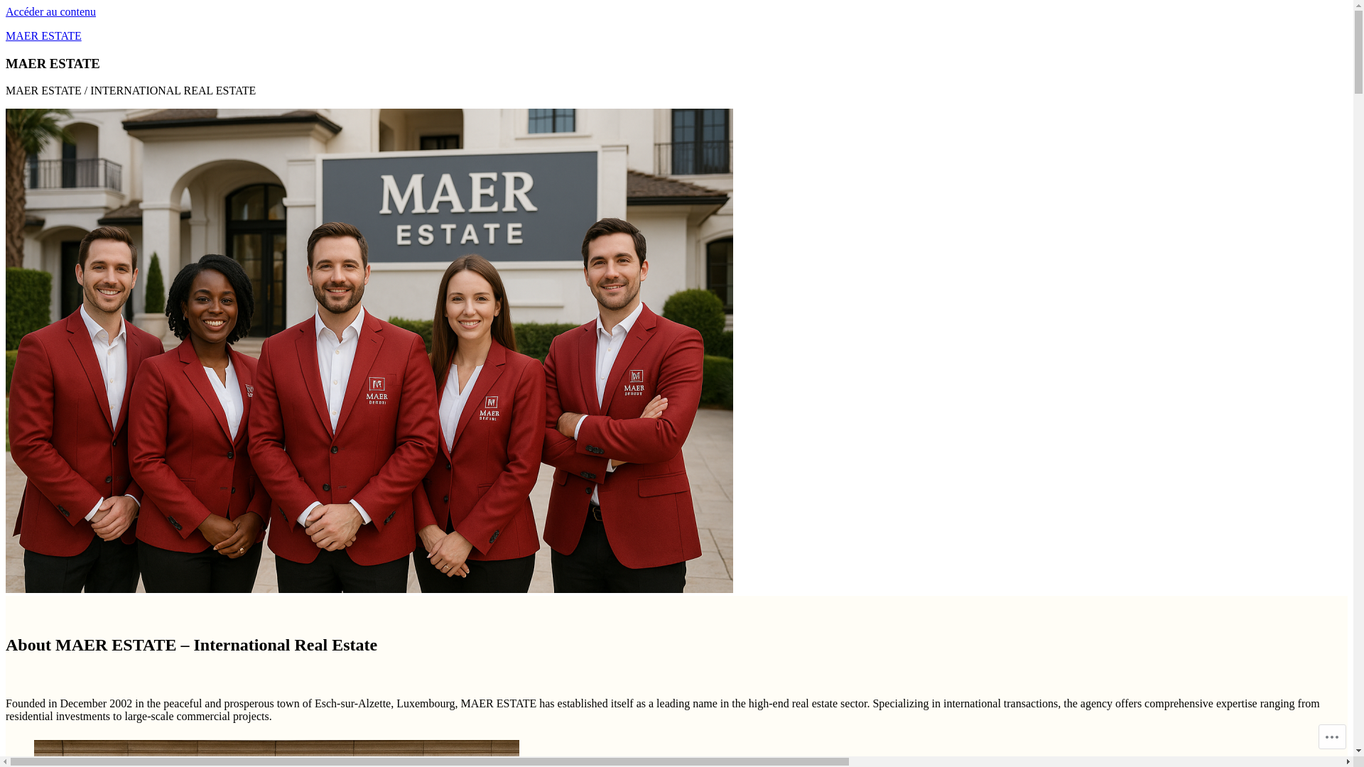 website screenshot of https://maerestate.com/