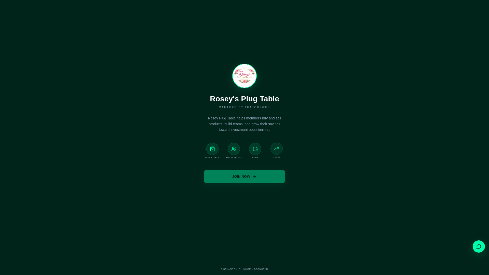 website screenshot of https://roseyplug.co.za/