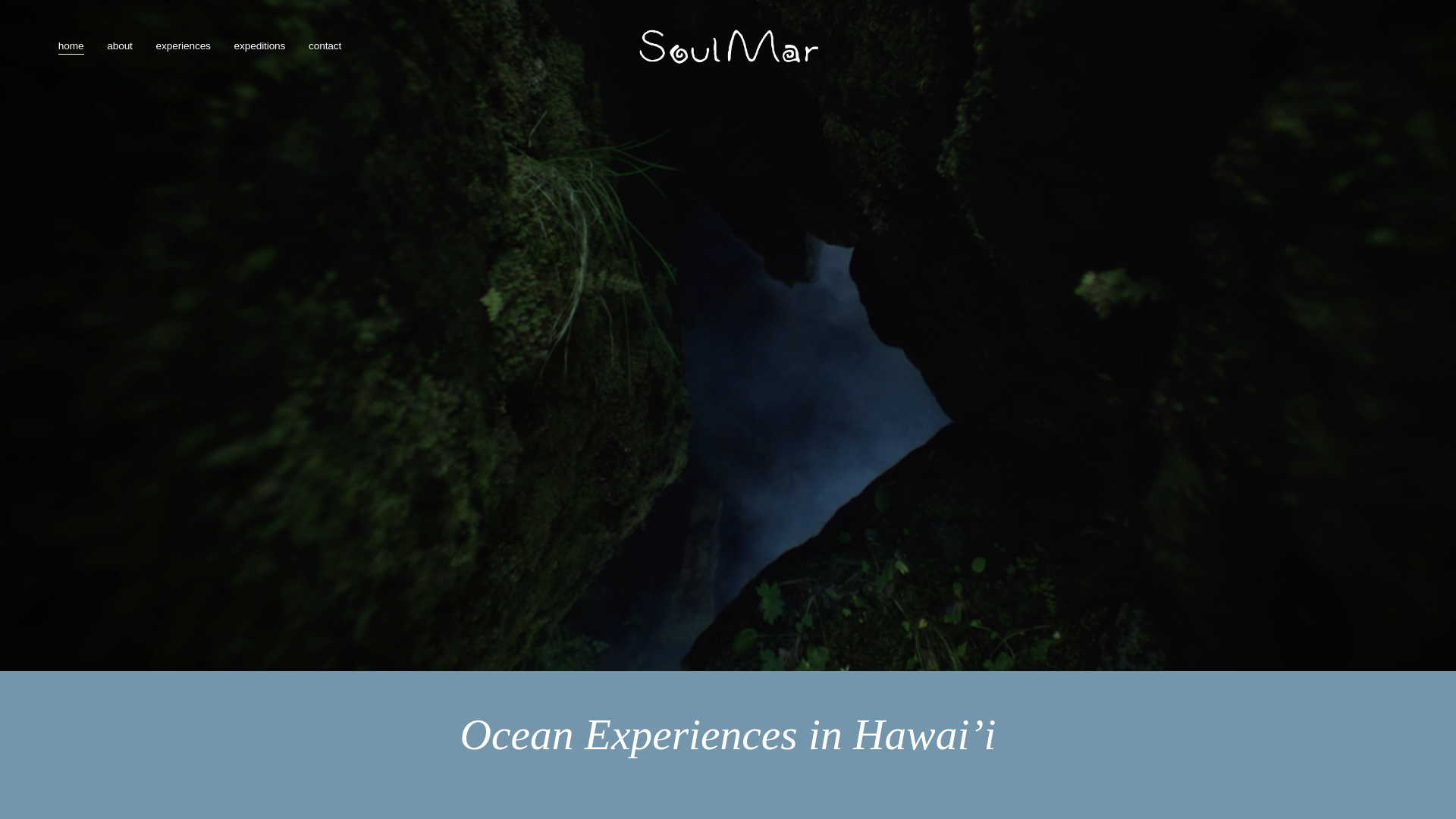 website screenshot of https://thesoulmar.com/