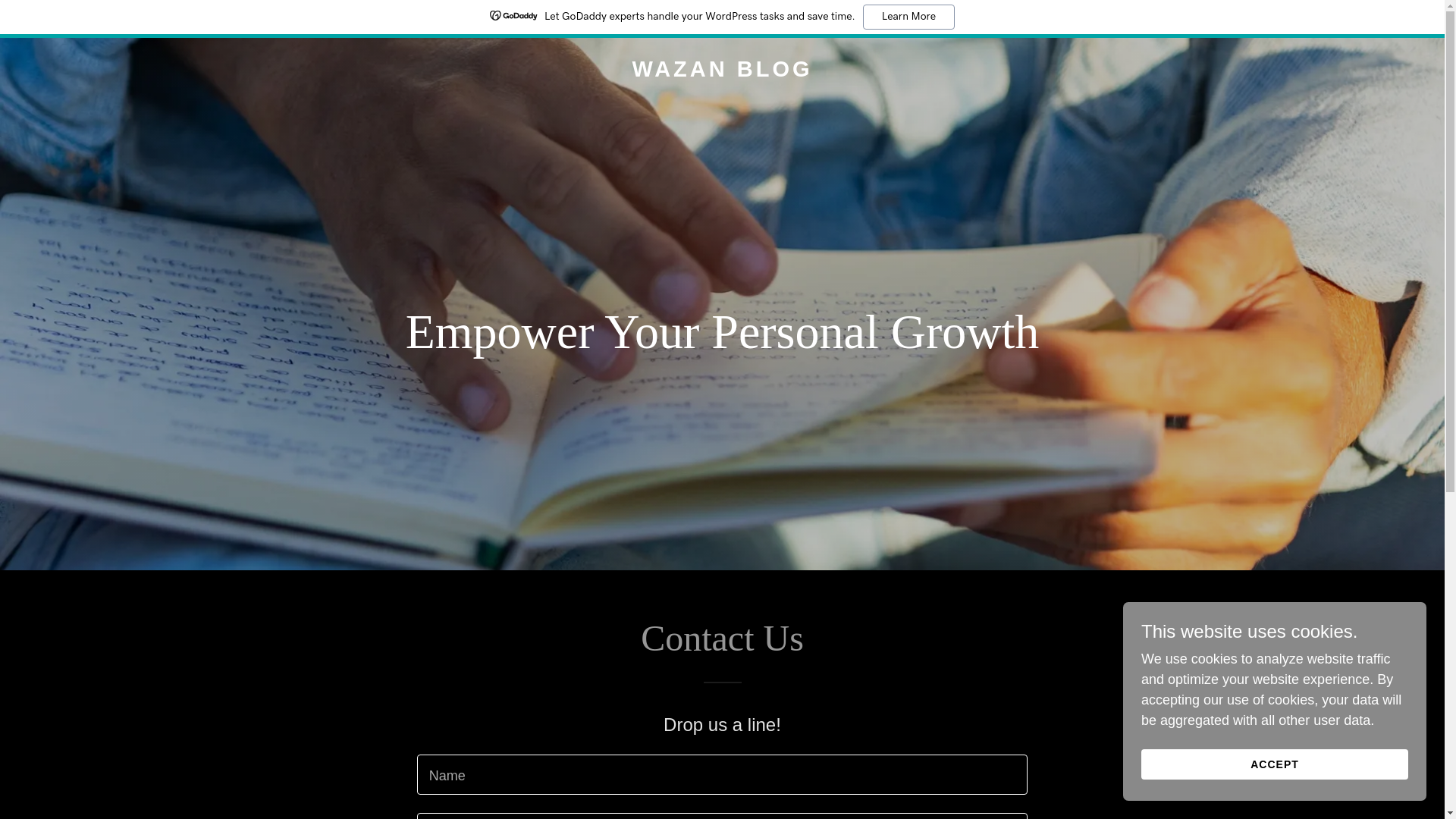 website screenshot of https://wazan.blog/