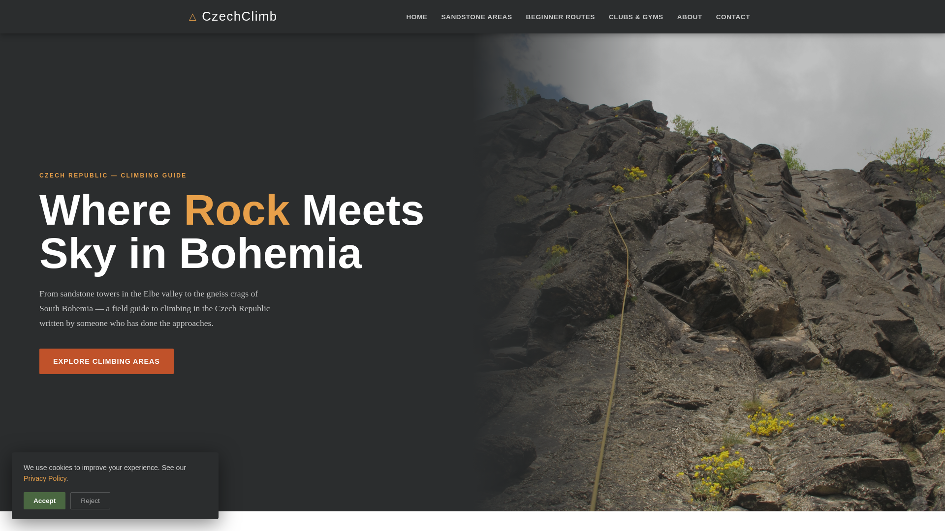 website screenshot of https://ivykyzalynut.eu/