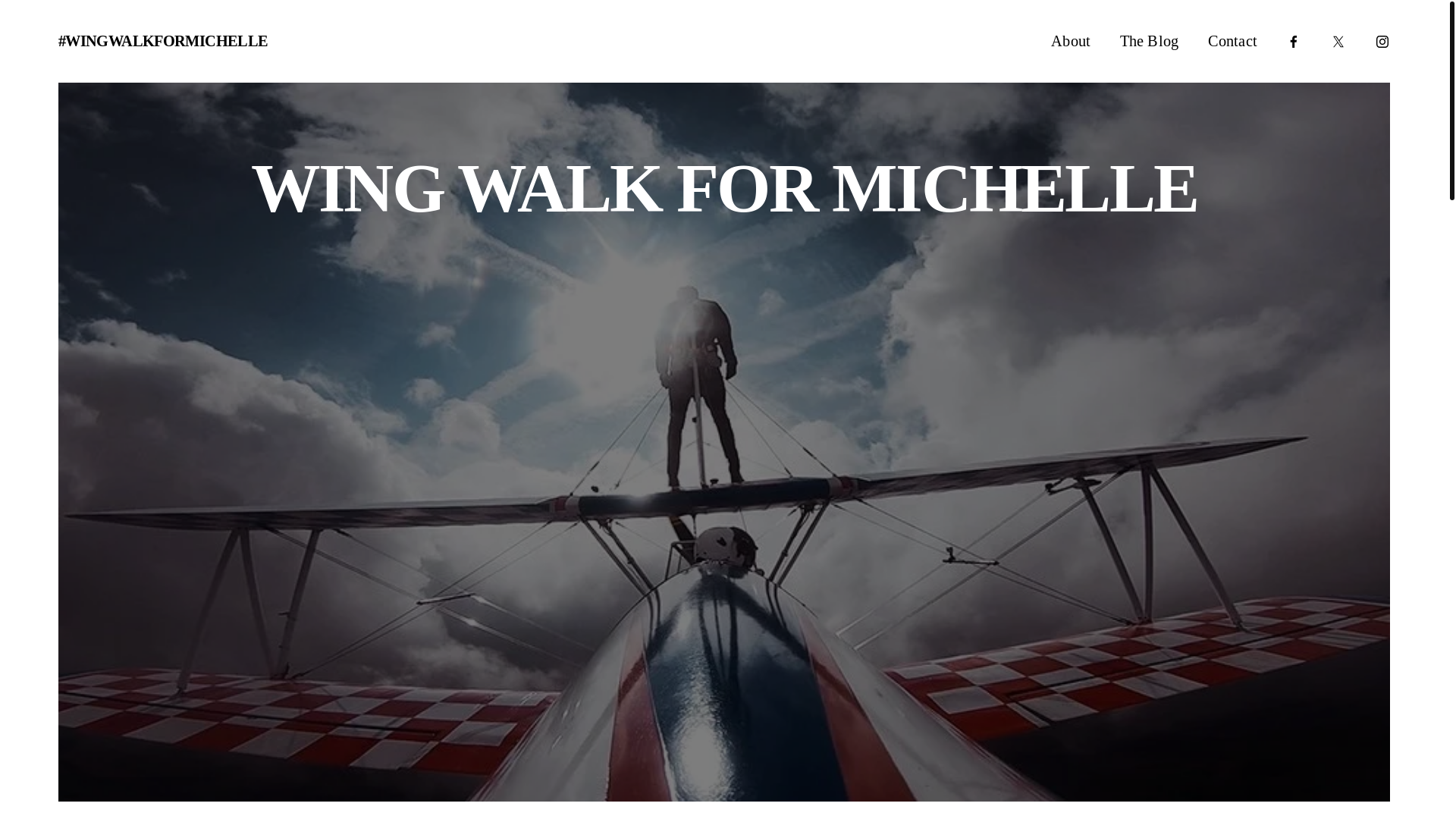 website screenshot of https://wingwalkformichelle.org/