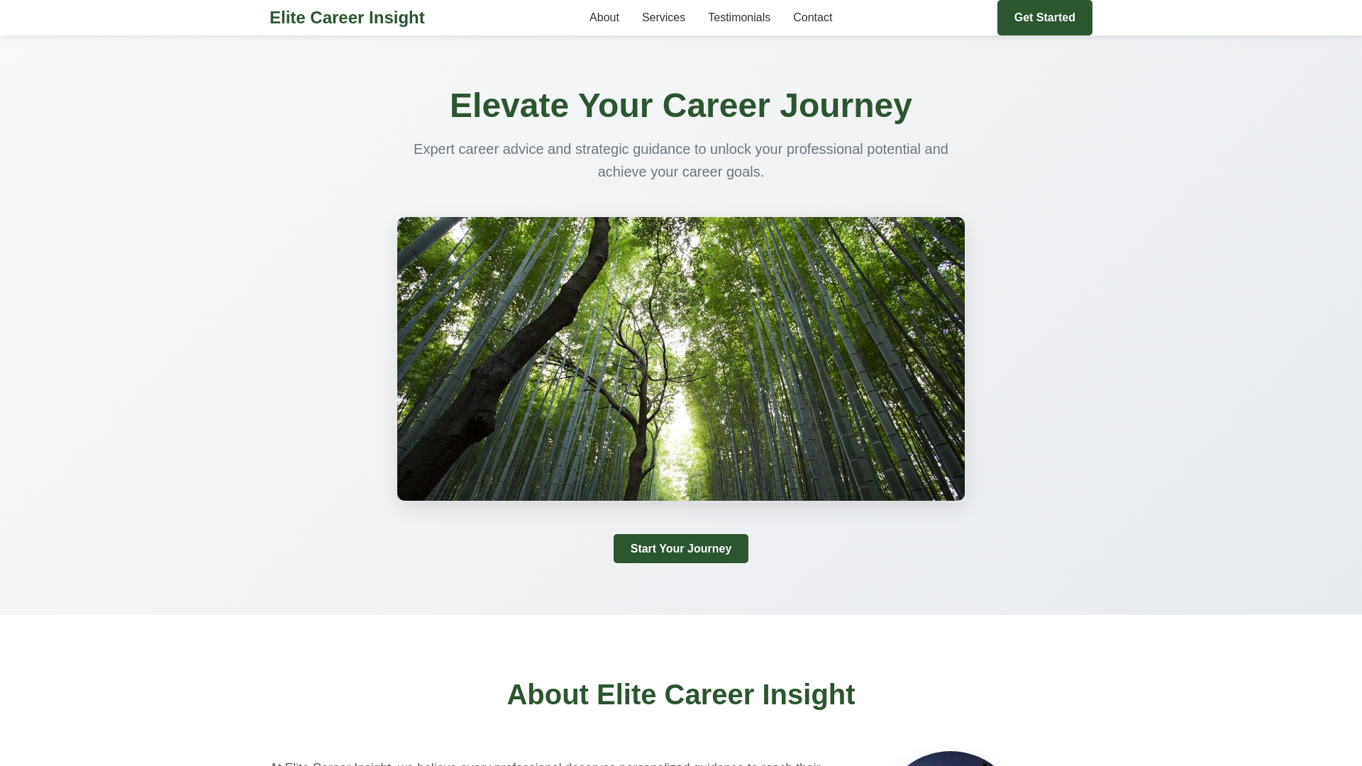 website screenshot of https://elitecareerinsight.shop/