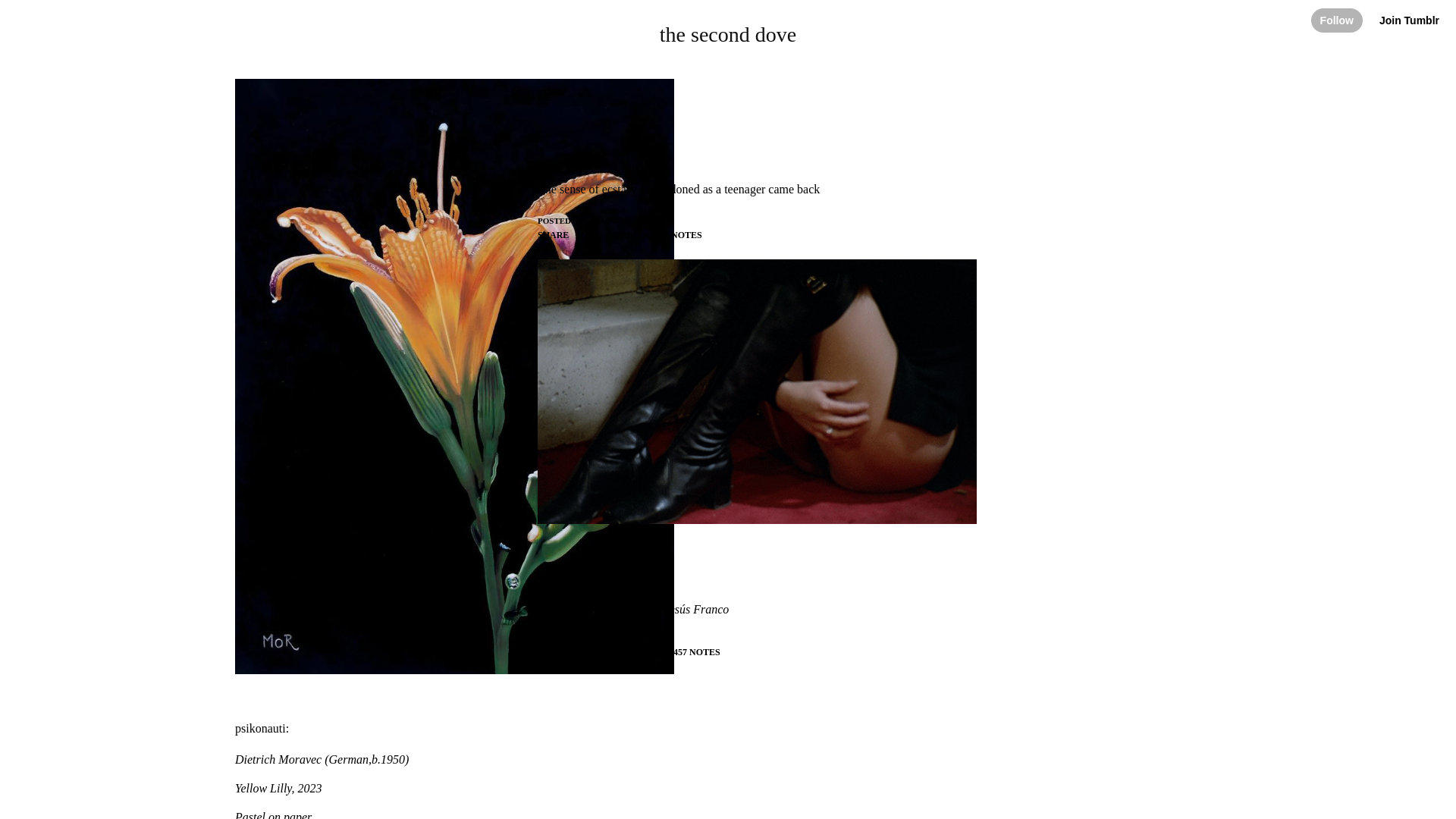 website screenshot of https://theseconddove.blog