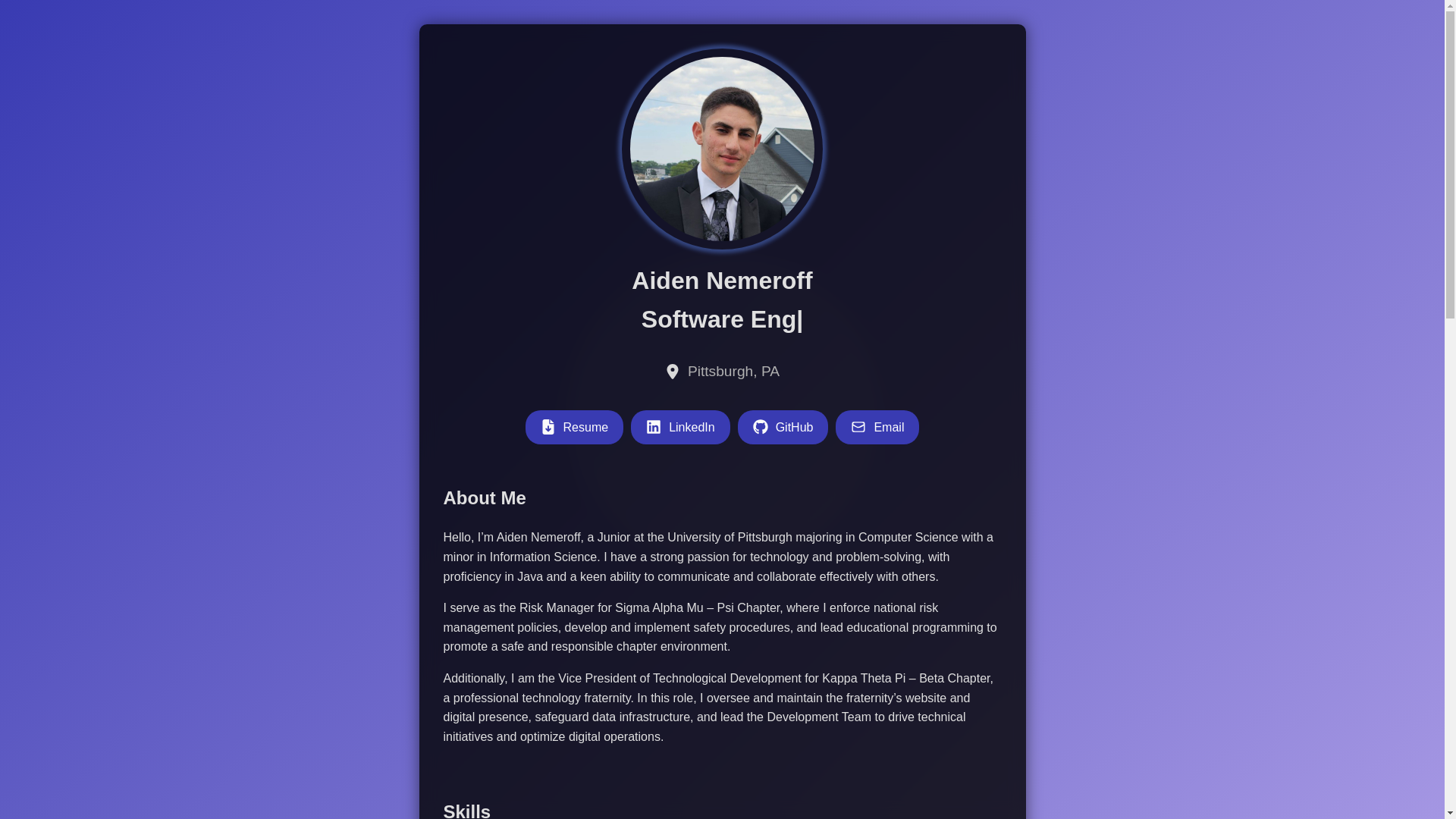 website screenshot of https://aidennemeroff.com/
