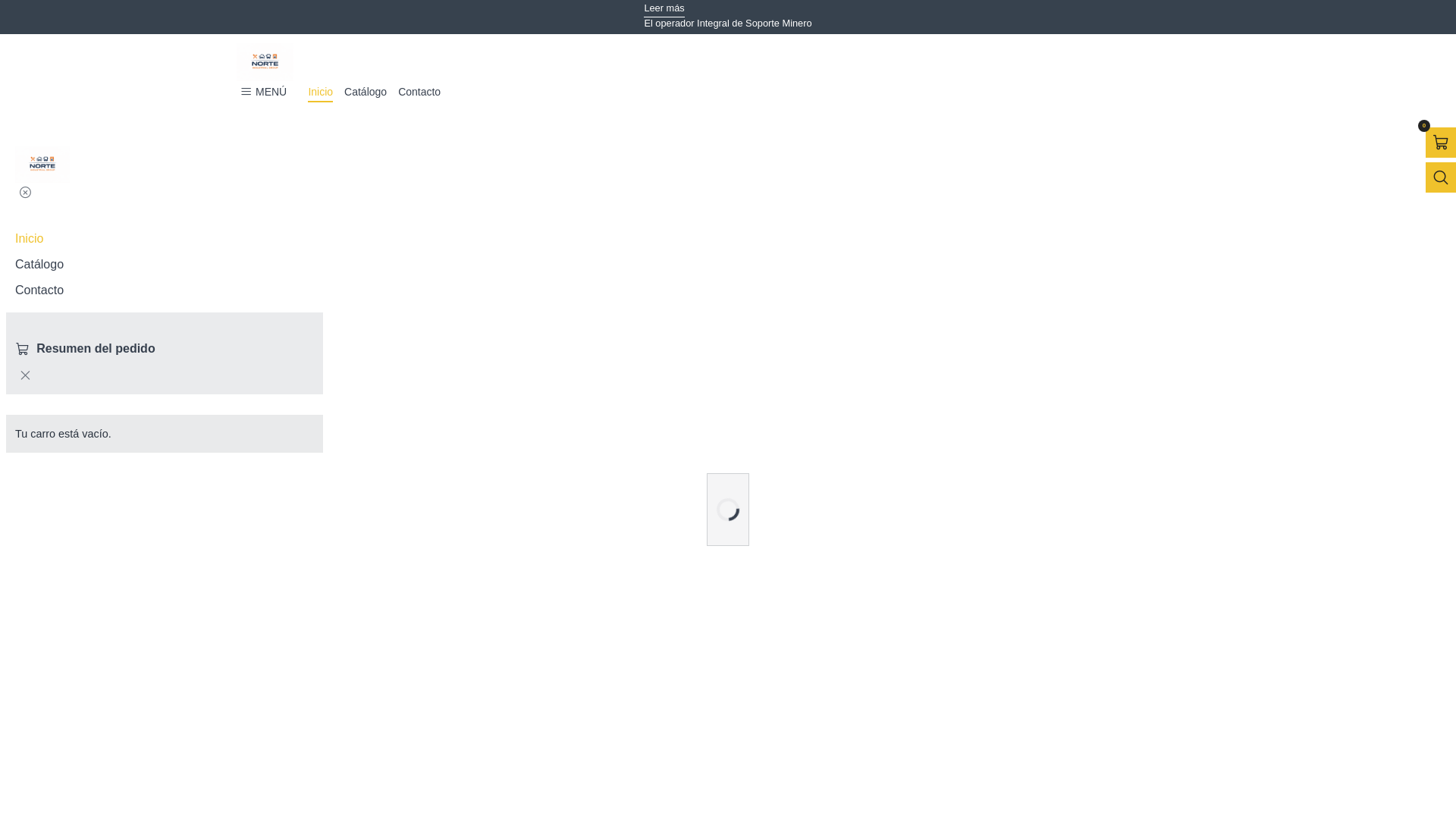 website screenshot of https://norteindustrialgroup.cl/