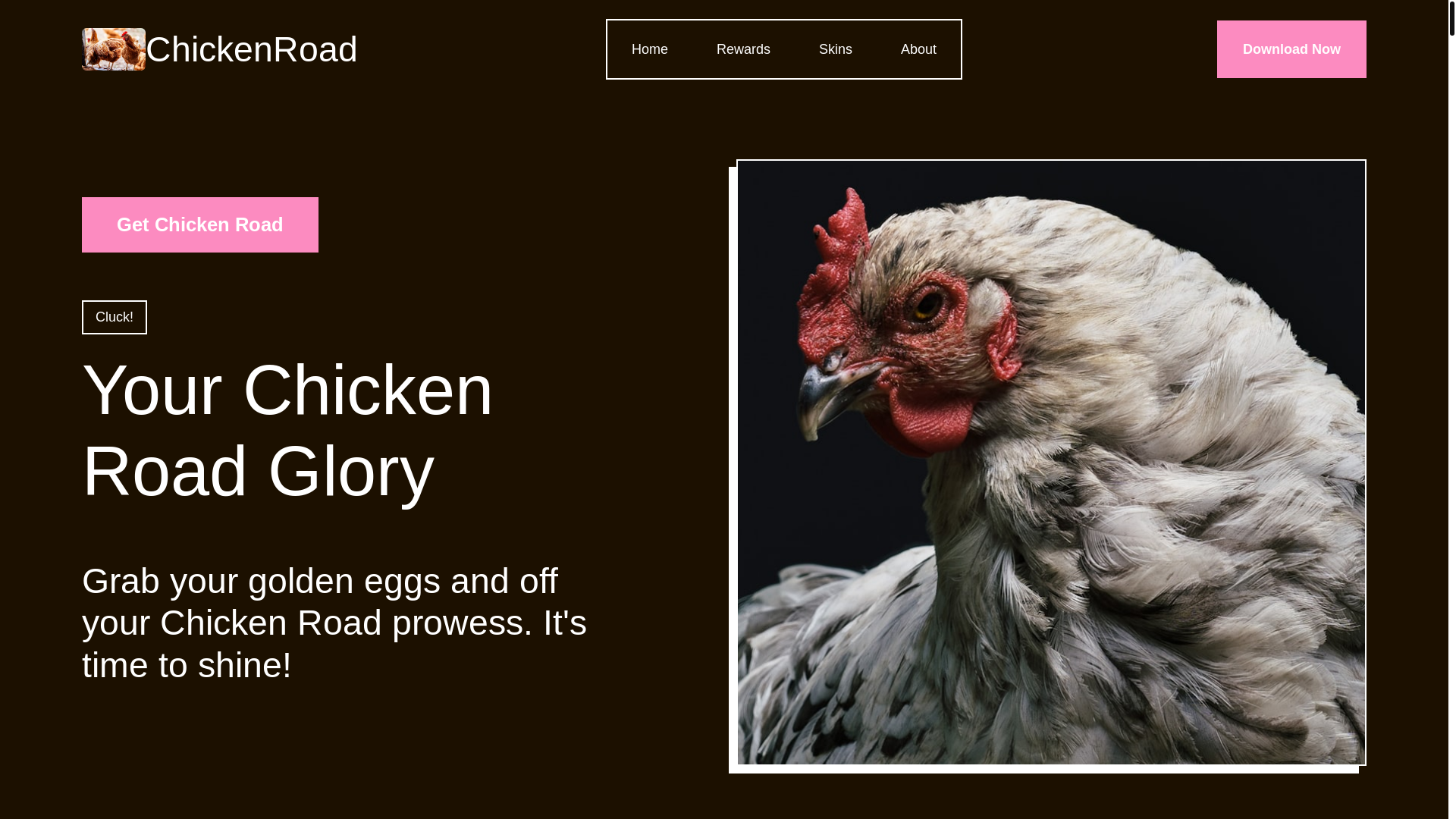website screenshot of https://chickenroadzusisnx.info/