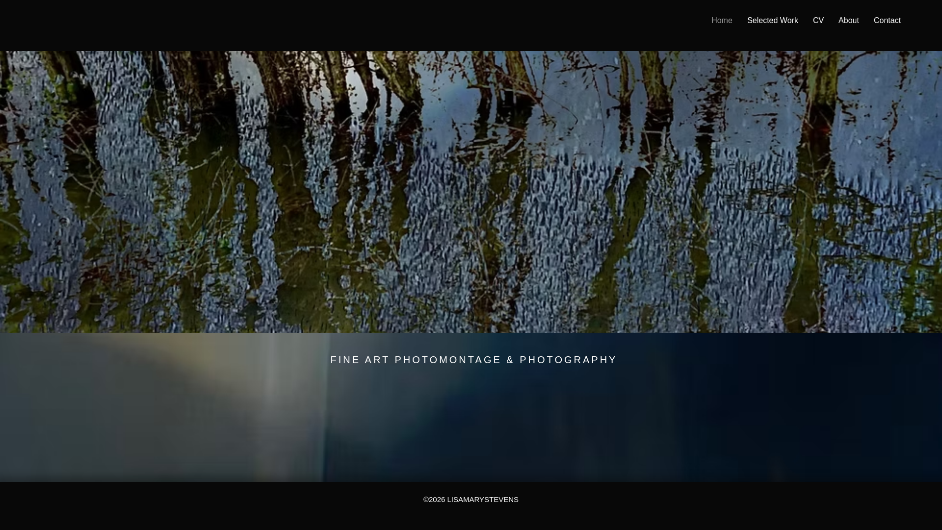 website screenshot of https://lisamarystevensart.com