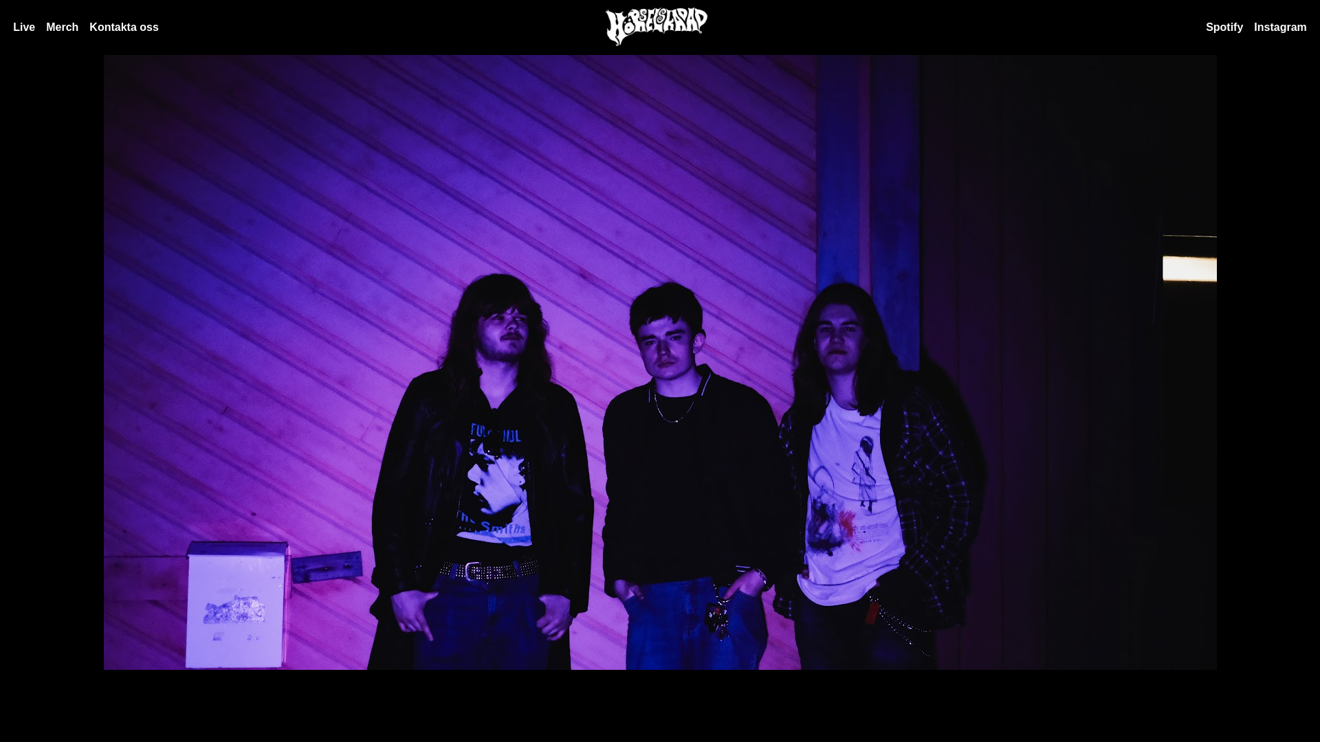 website screenshot of https://horselskadadband.pages.dev/