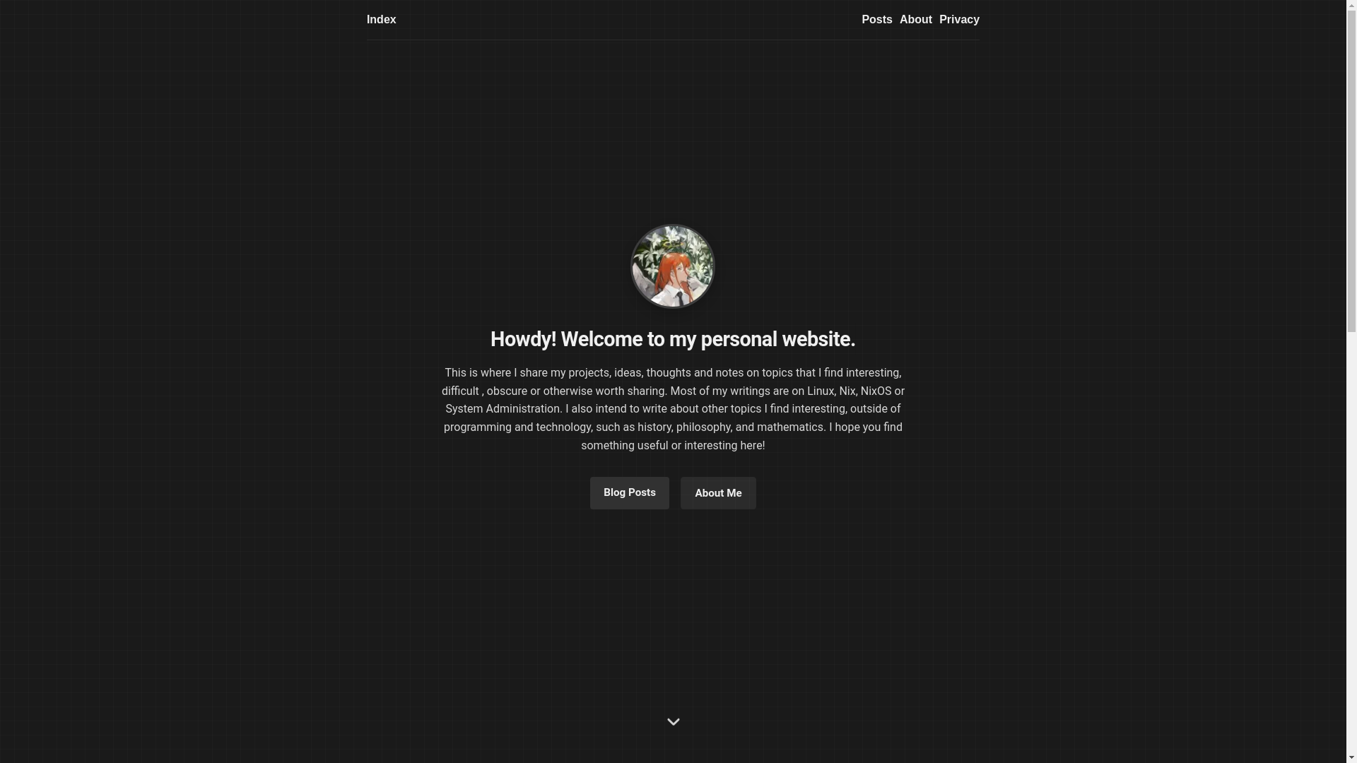 website screenshot of https://notashelf.dev/