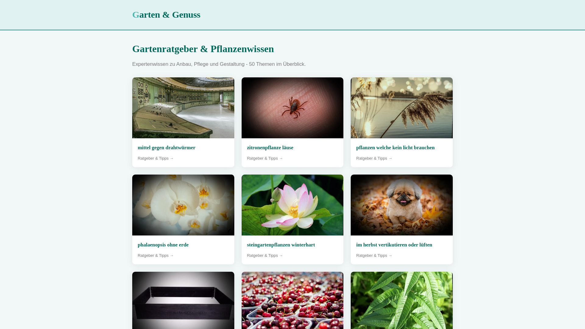 website screenshot of https://ramship.pages.dev/