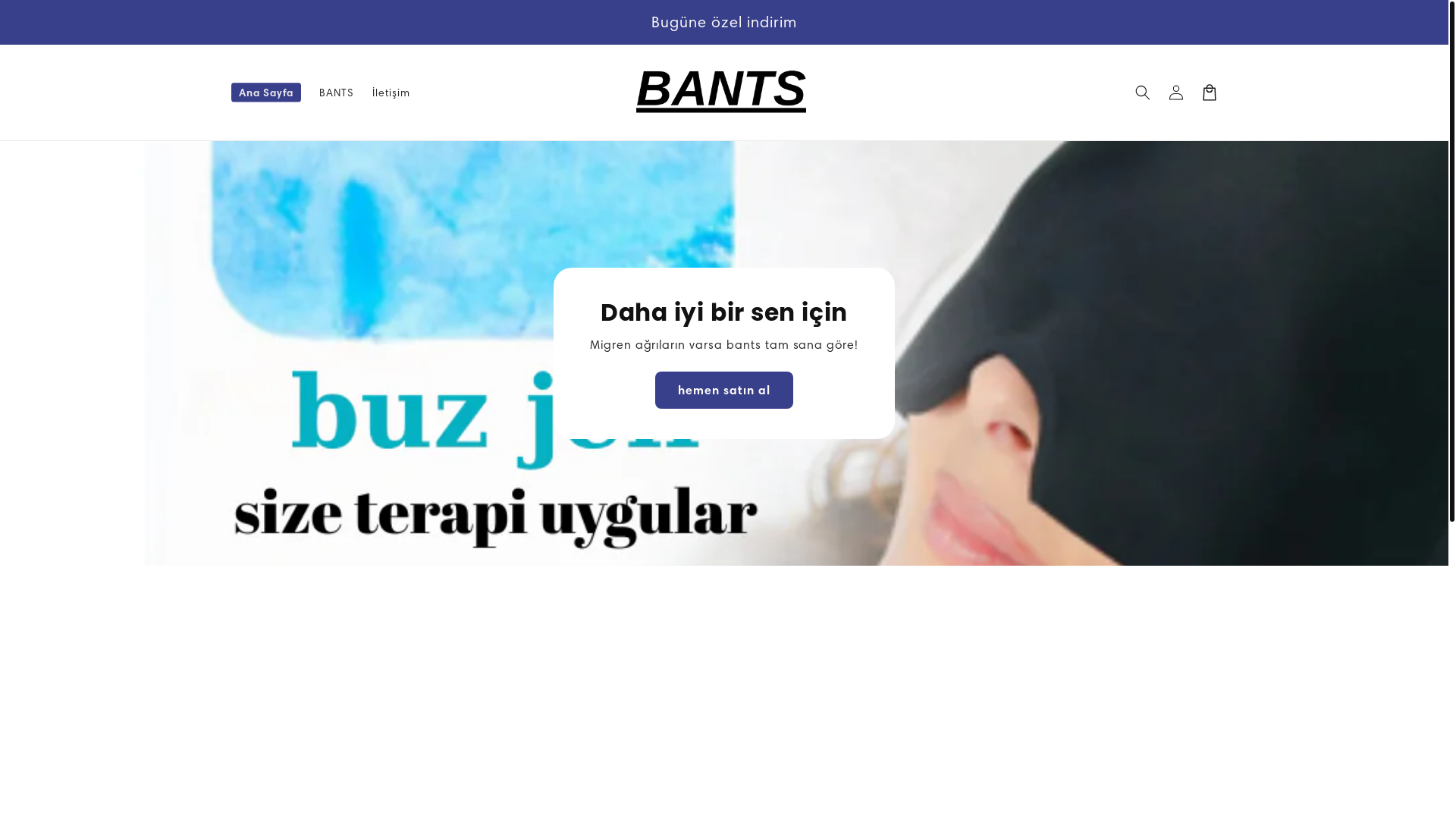 website screenshot of https://bantss.co/