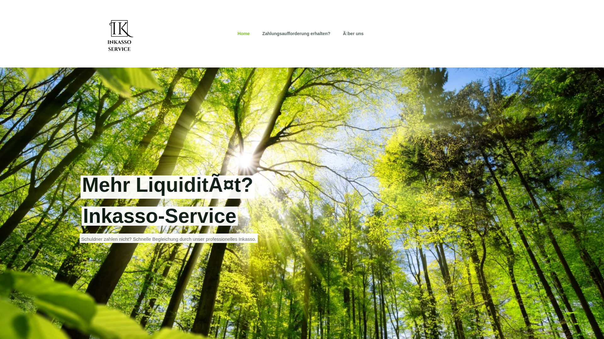website screenshot of https://inkassoservice.pages.dev/